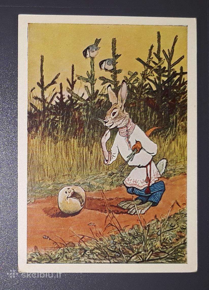 Pasaka, Račev 1955 017-5 švari
