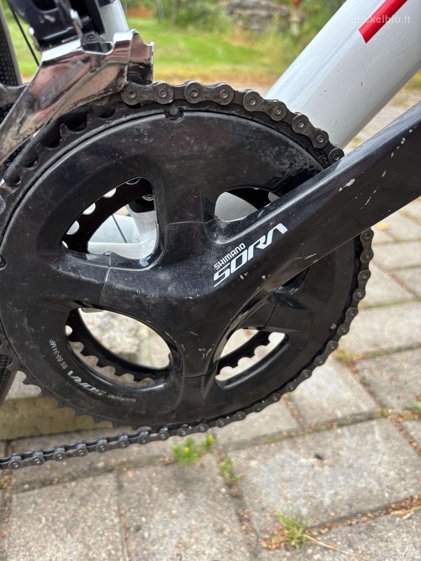 Trek dviratis