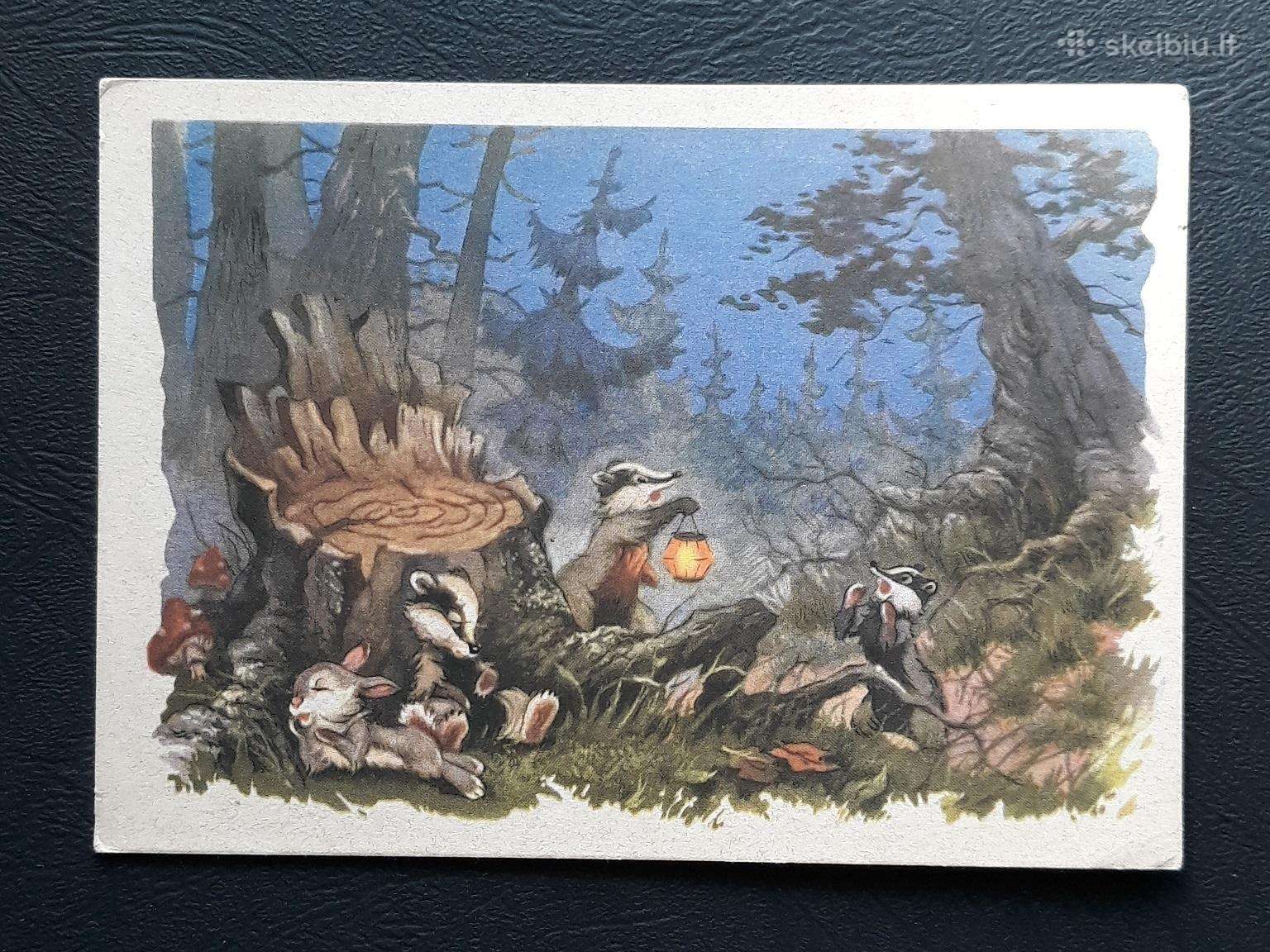 Vaikiška, Znamenskij 1962 078-5 švari