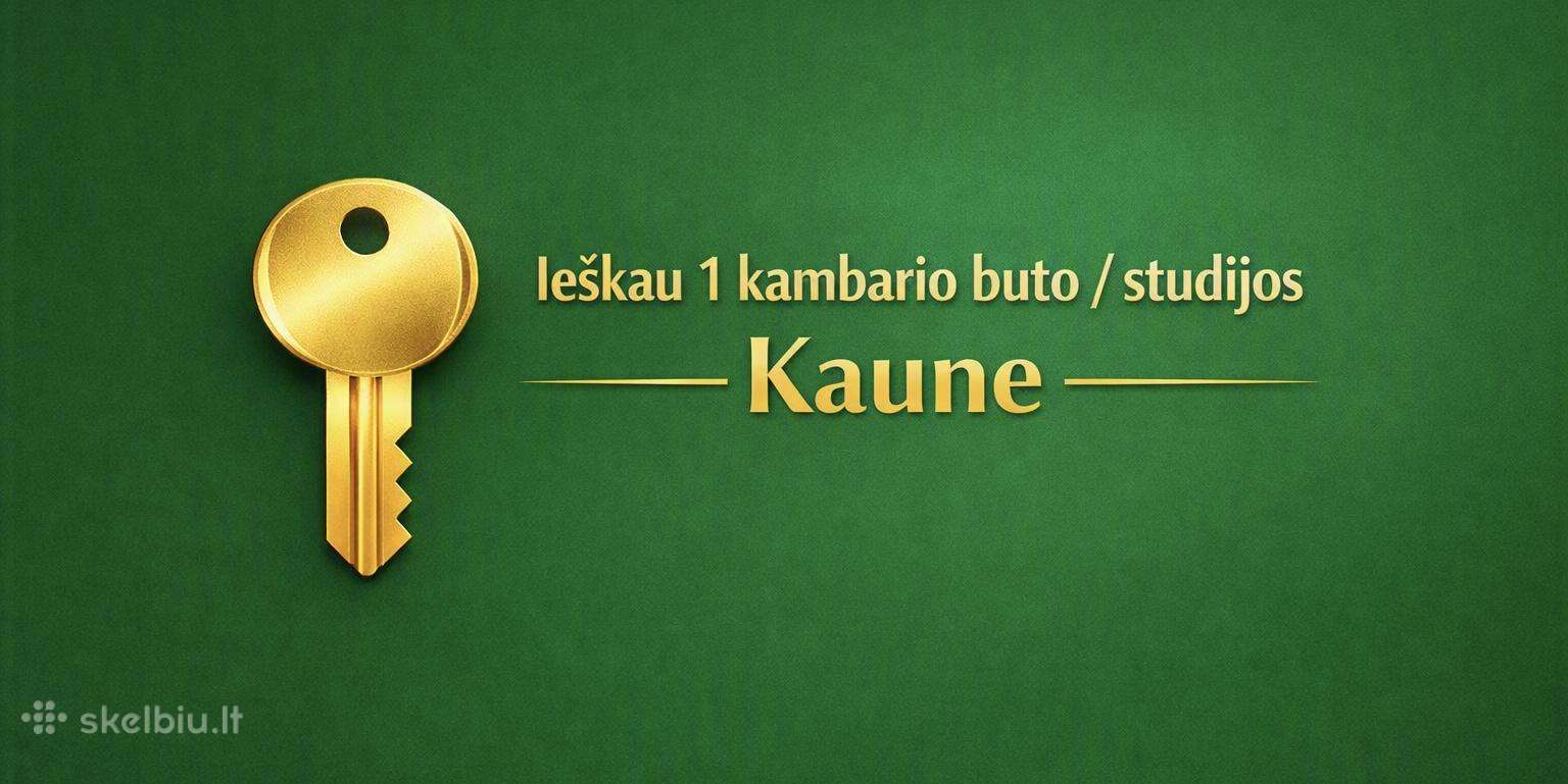 Ieškau 1 kambario buto / studijos Kaune