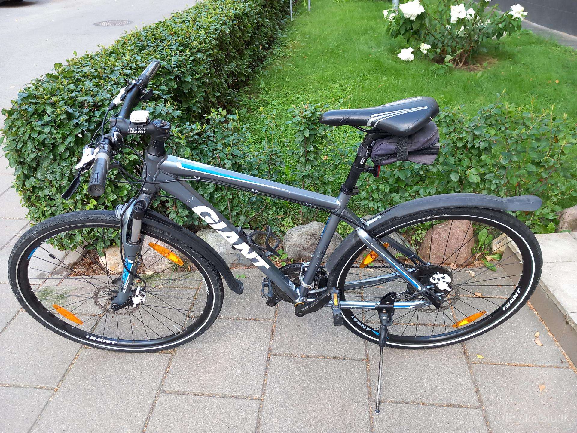 Dviratis Giant Roam 2