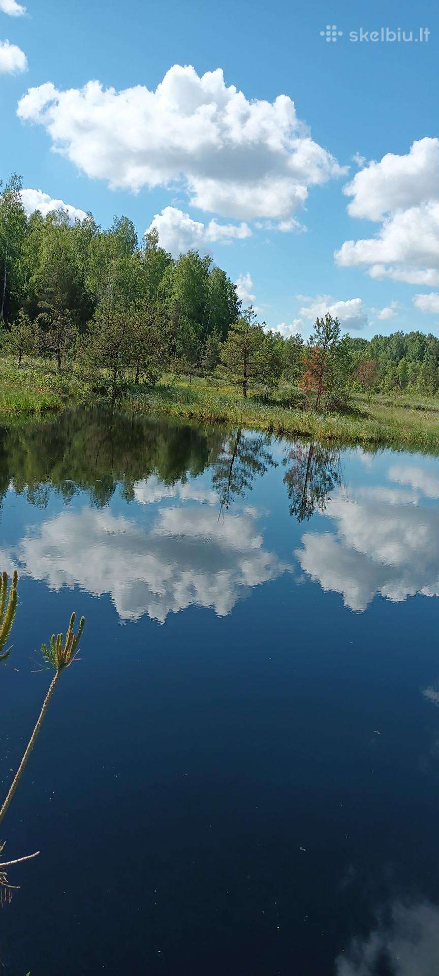 Eksliuzyvinis sklypas