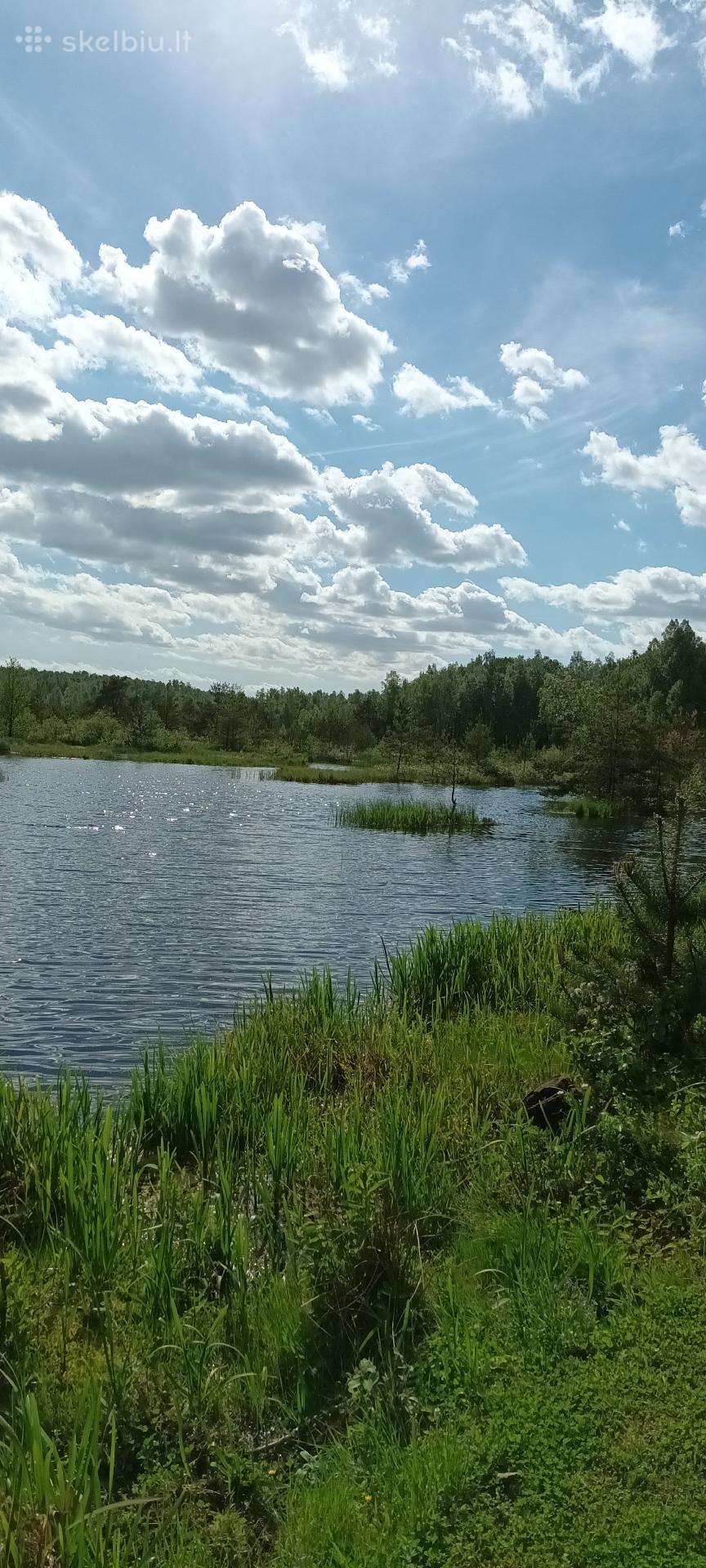 Eksliuzyvinis sklypas