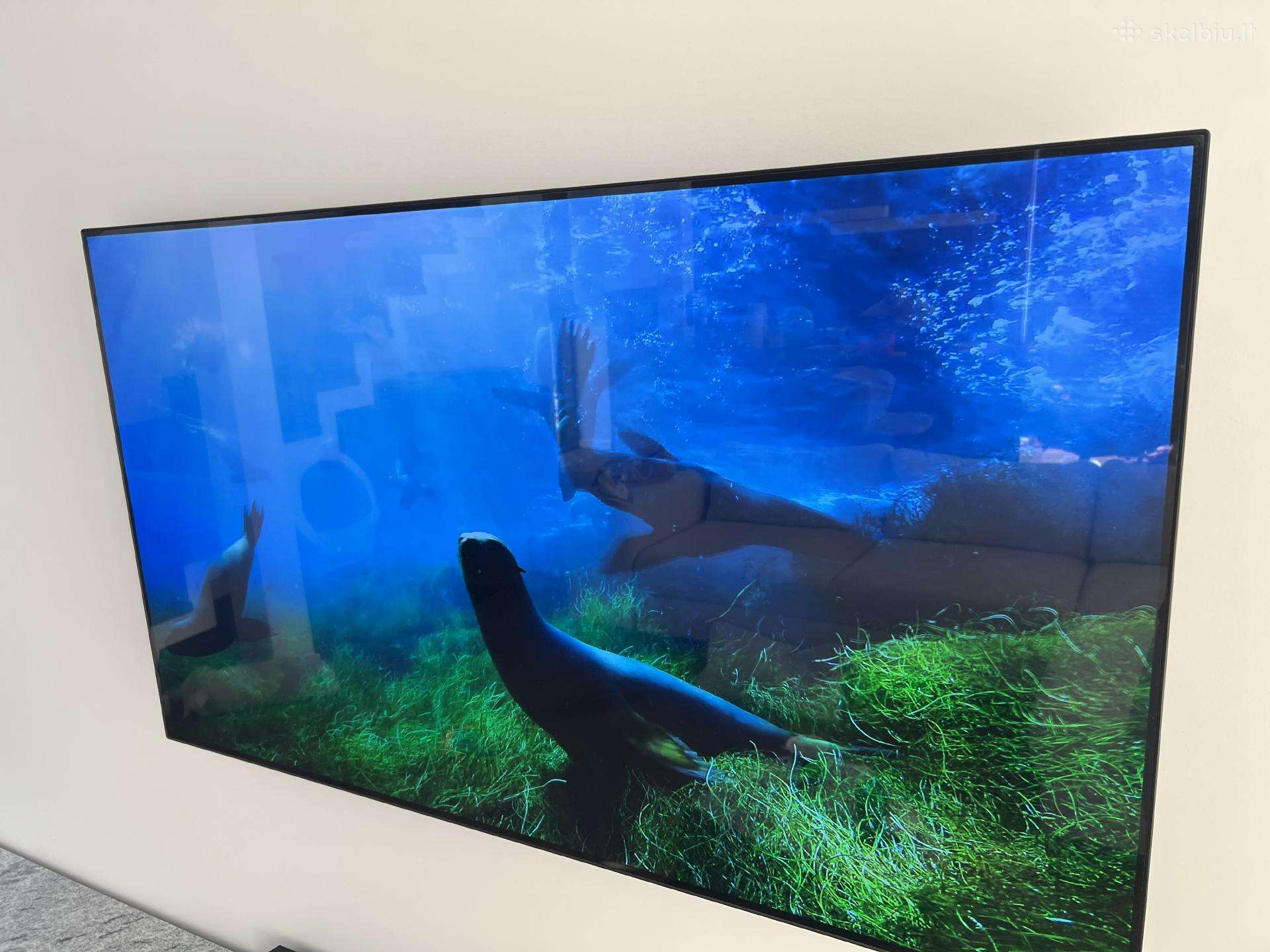 LG Oled 55