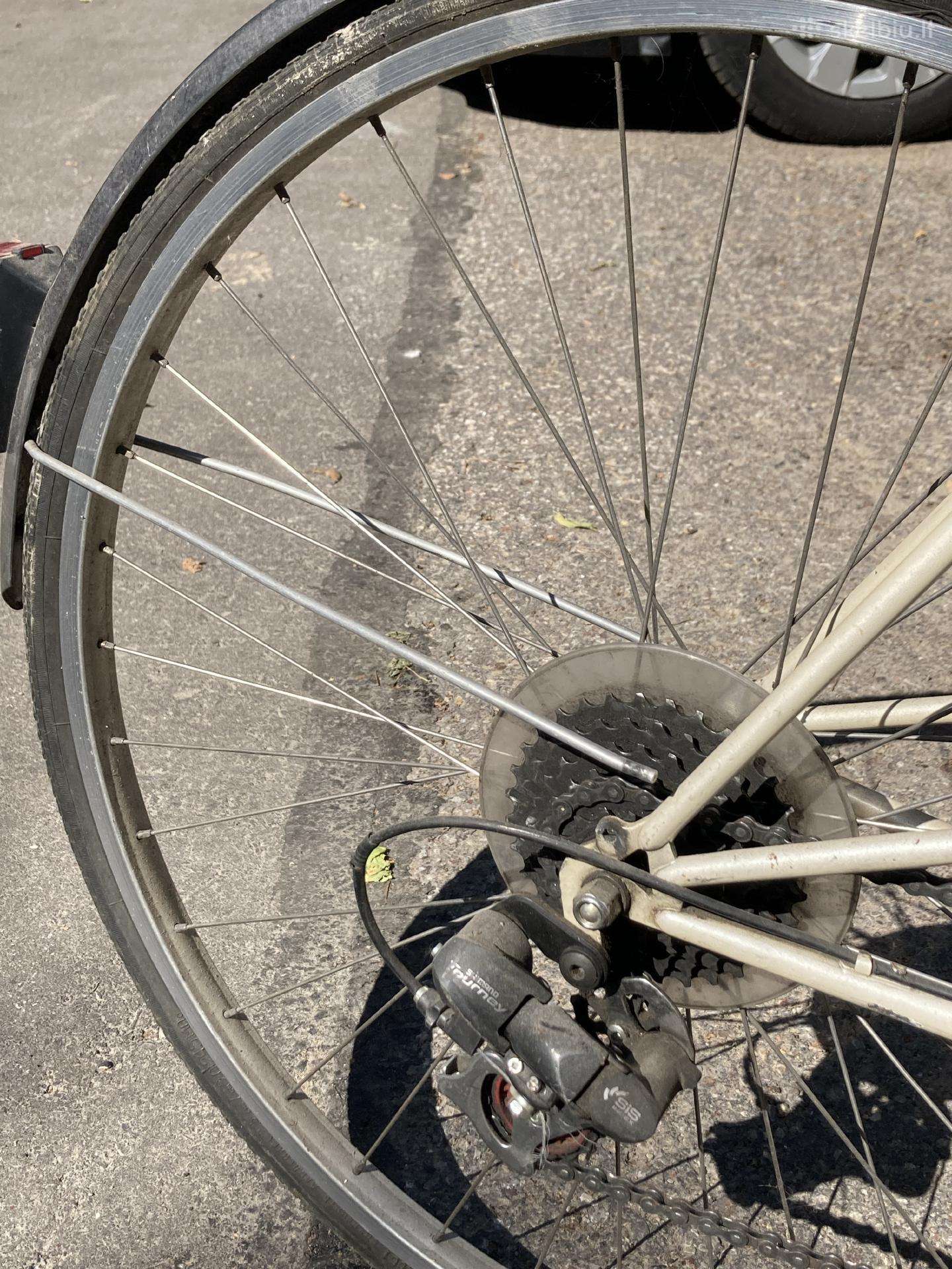 City bike Giant