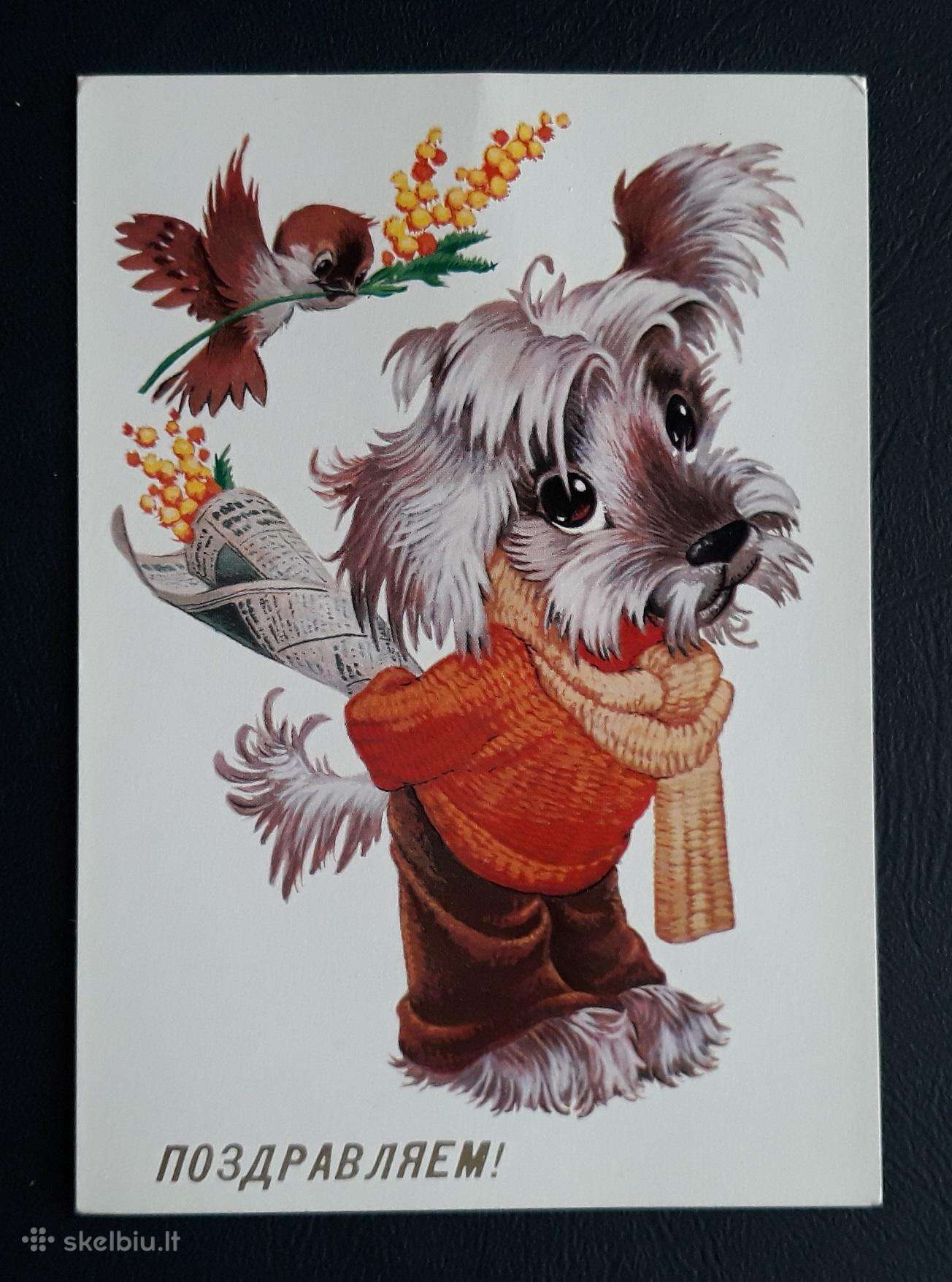 Četverikov 1981 231-2 Vaikiška švari