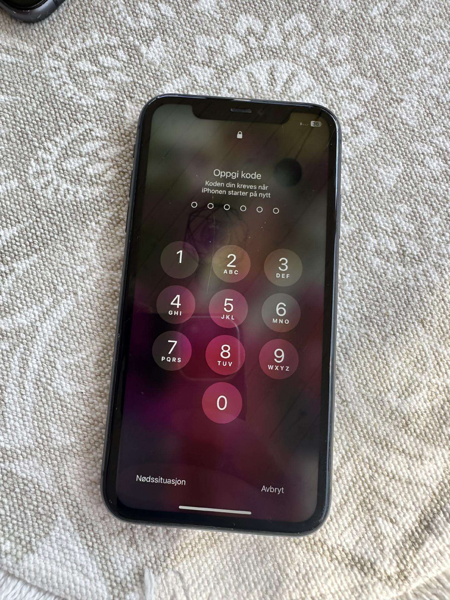 Apple 11