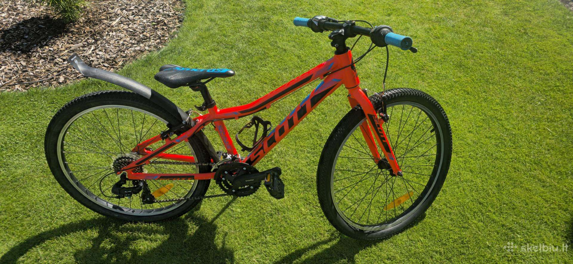 Scott scale 24"
