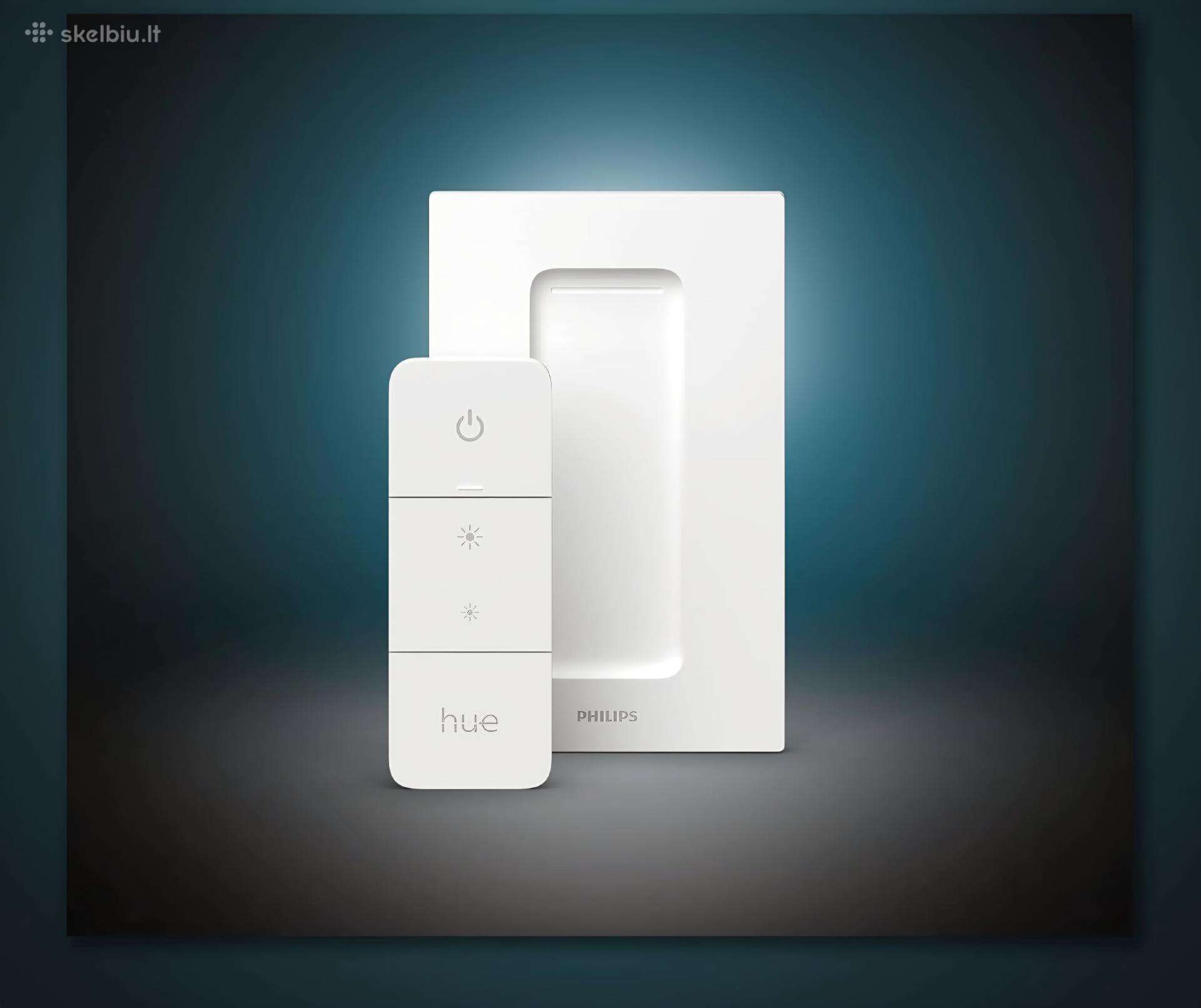 Philips hue jungtukas