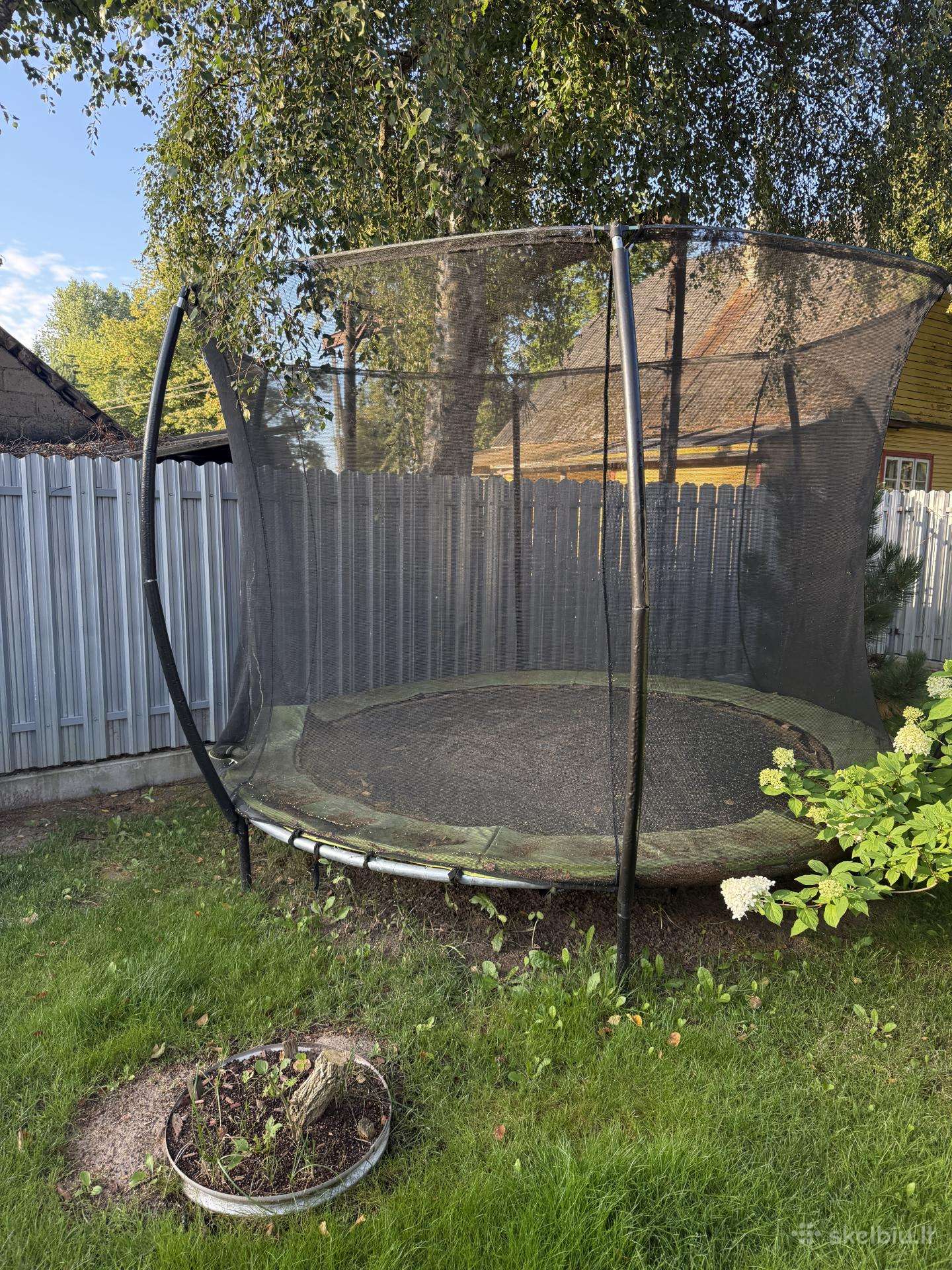 Dovanoju sveika 3m batuta
