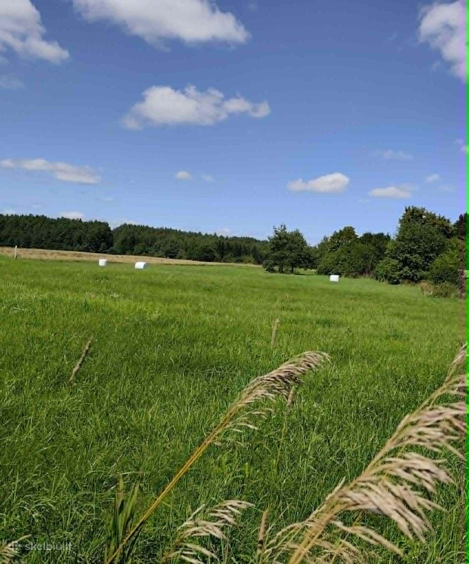 42a Trakų r., Naujojo Tarpupio k., Lauko g.3