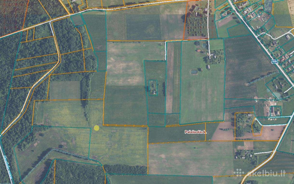 Nuomojamas 10.57ha sklypas