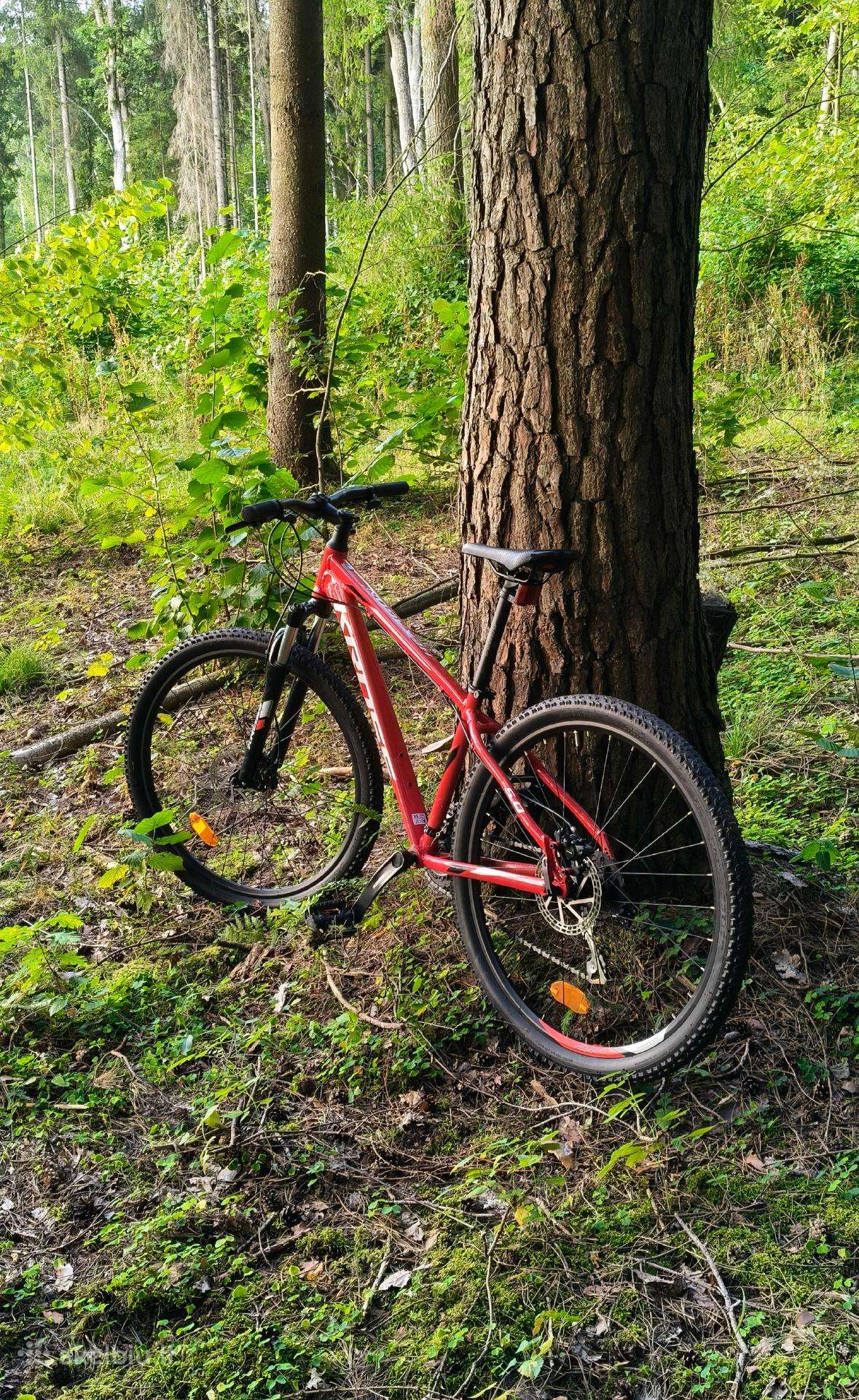 Kross Hexagon 6.0 dviratis