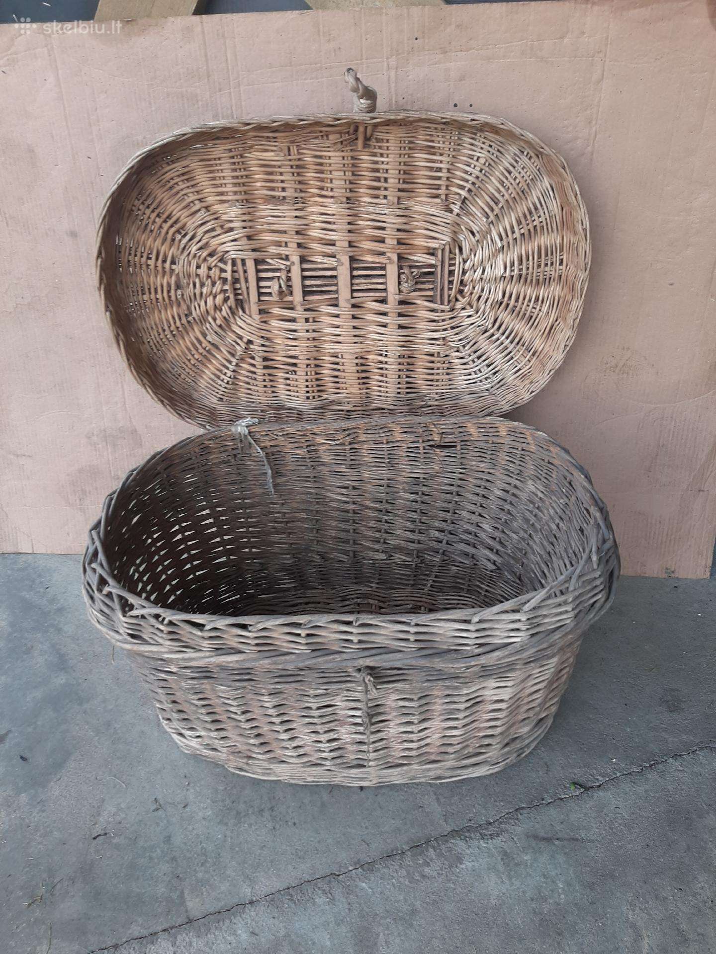 Pintine