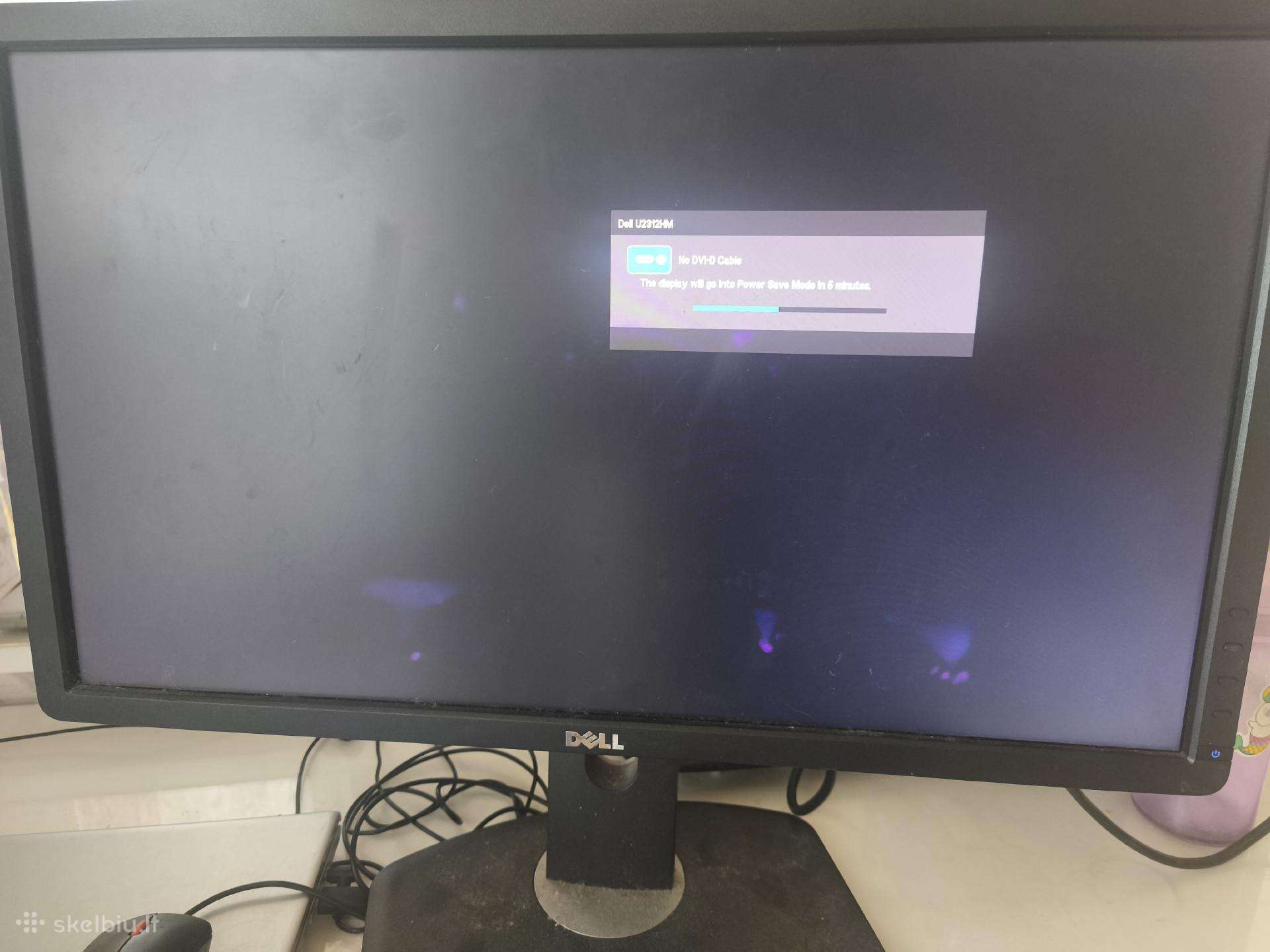 Dell monitorius