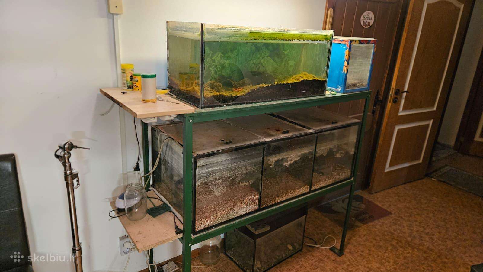 Akvariumas
