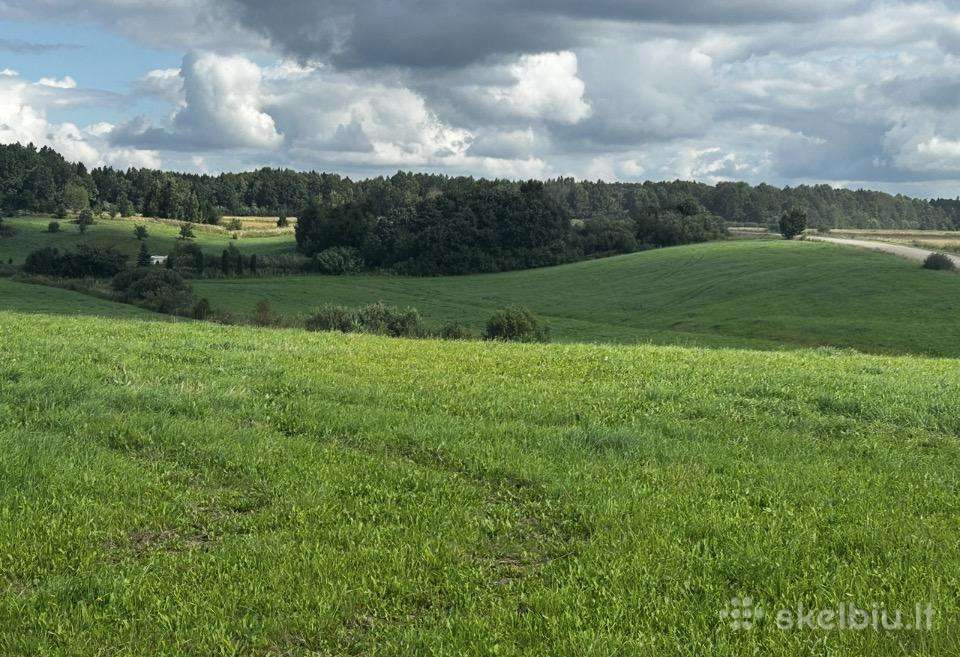 Erdvūs sklypai slėnyje, namų valda, panorama