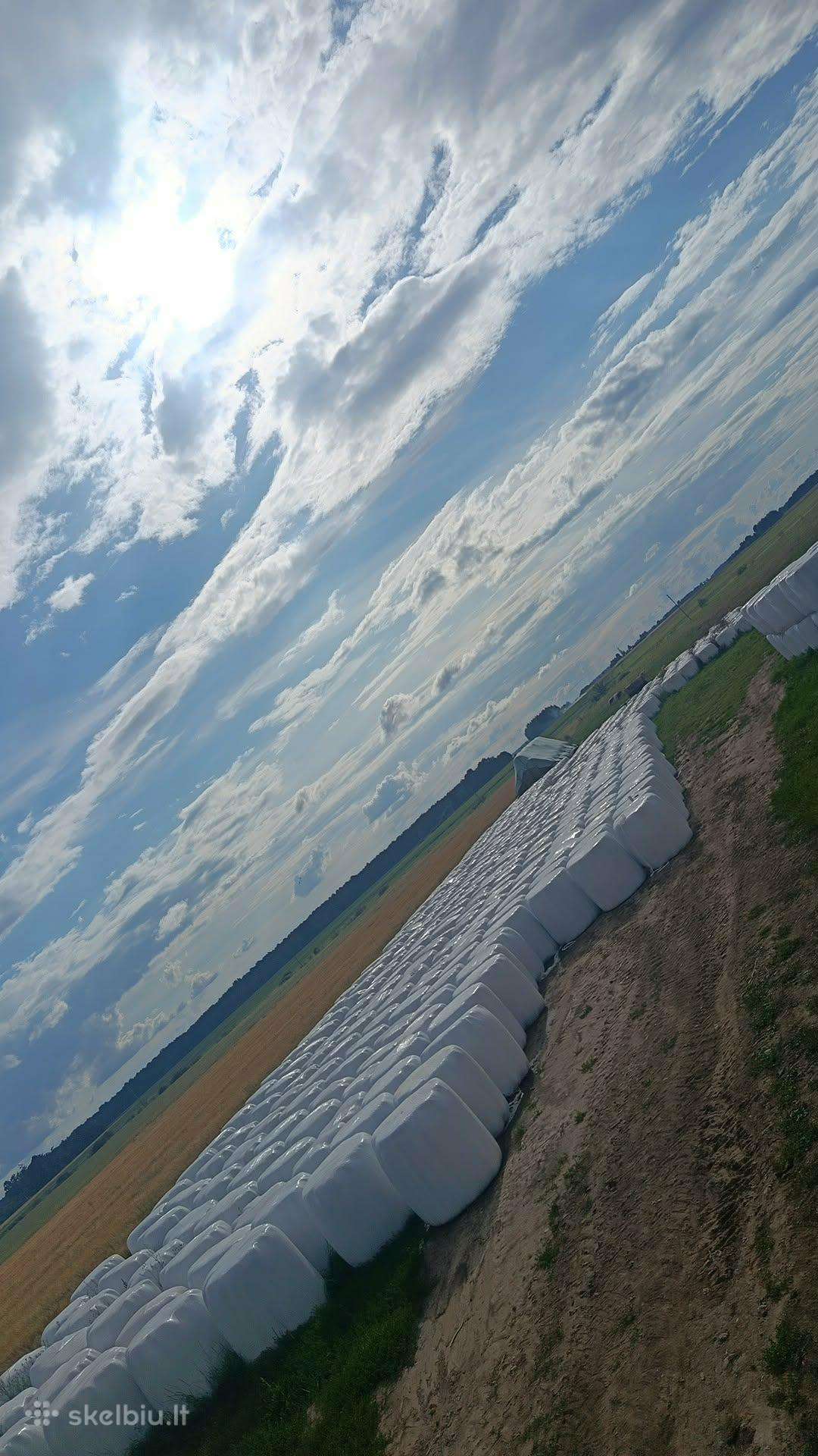 Šienainis