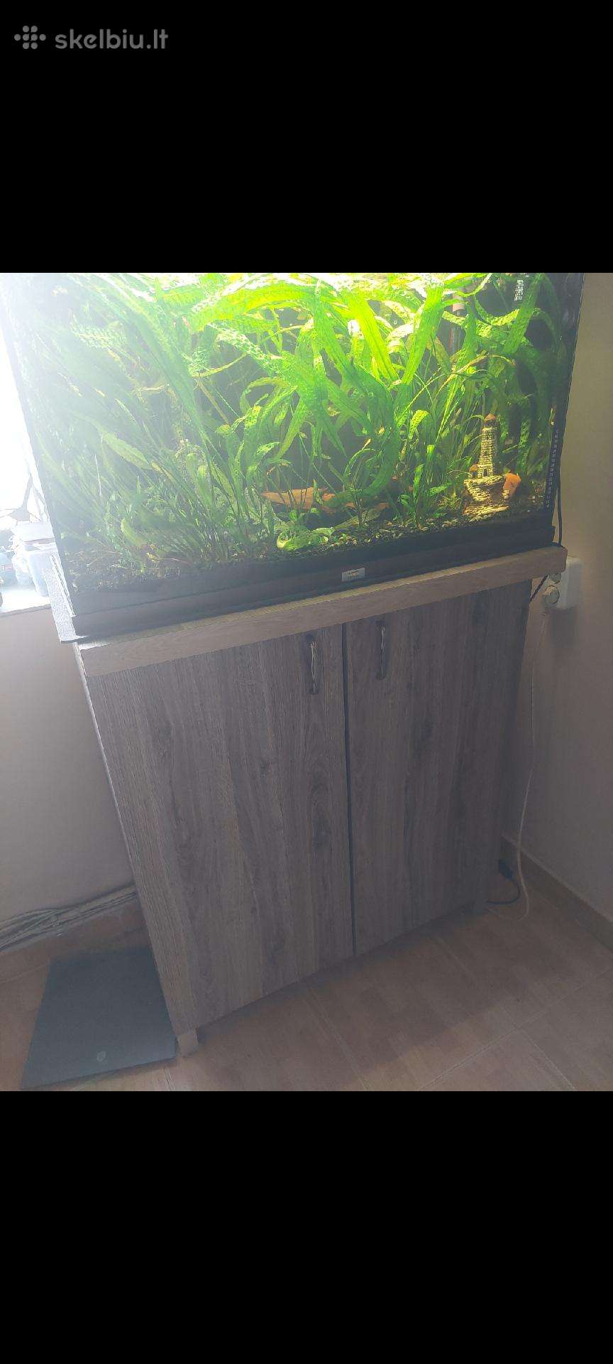 Parduodamas akvariumas