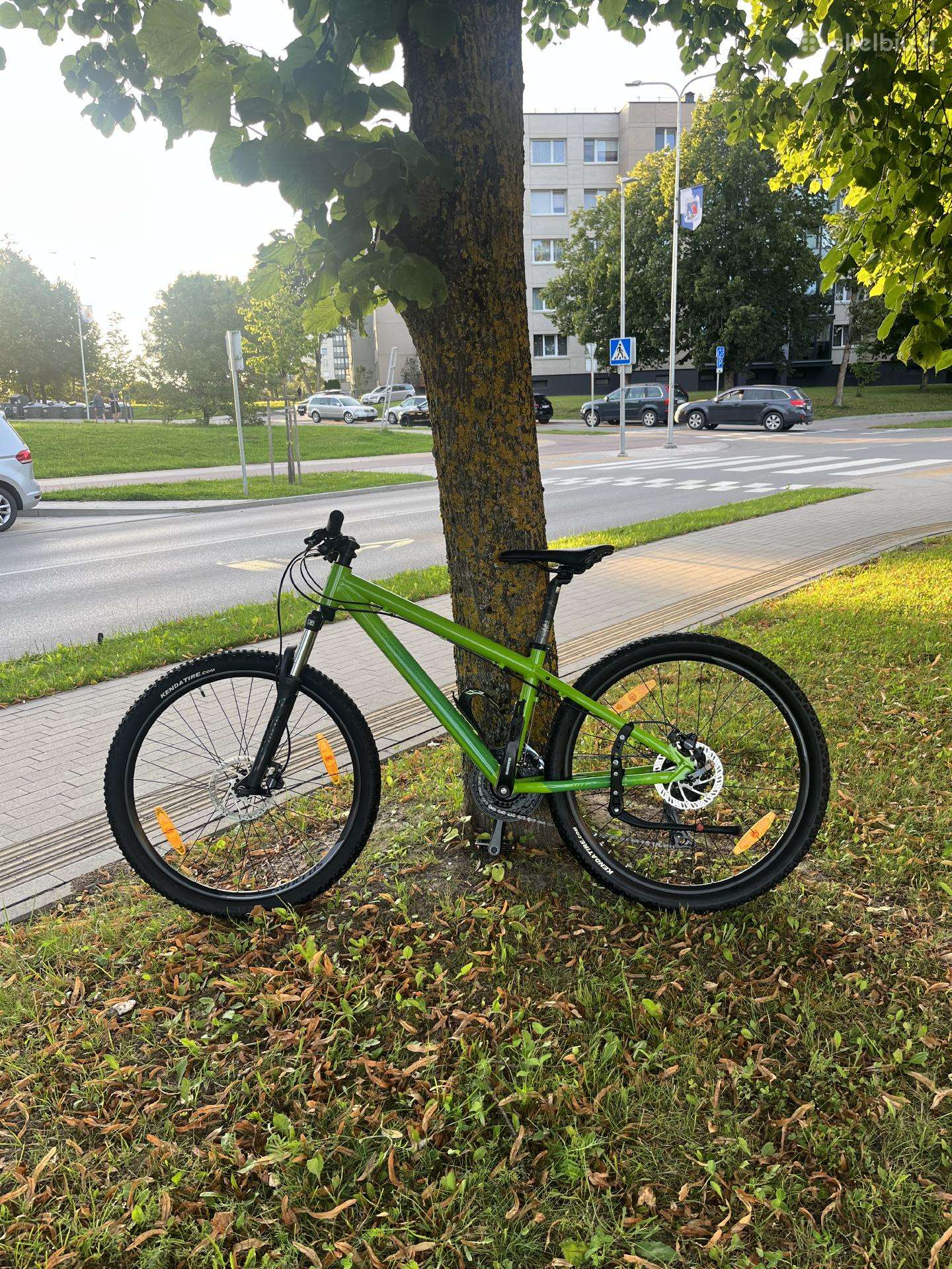 Kalnų dviratis Scott Roxter 610 paaugliui