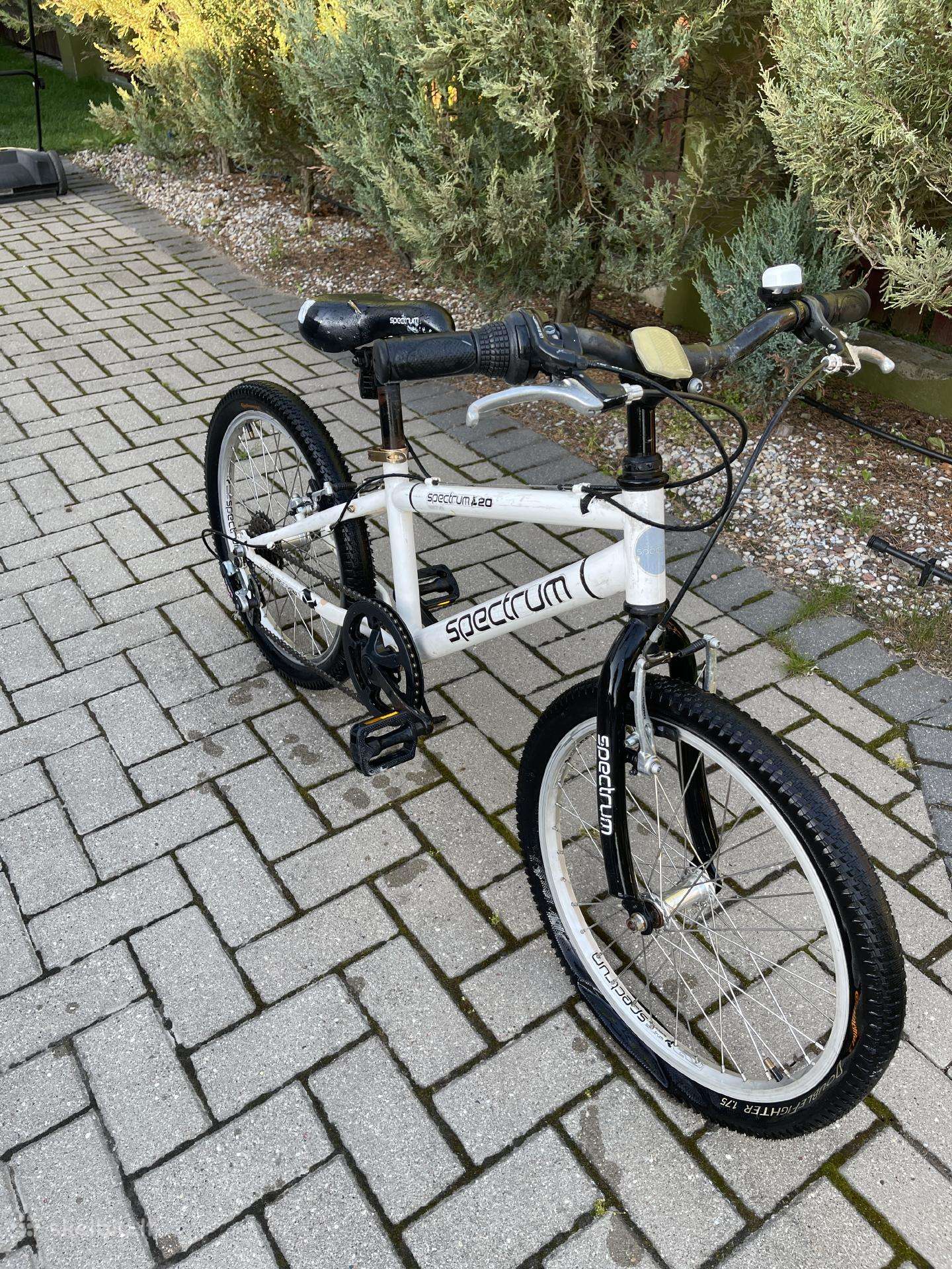 Vaikiškas dviratukas 20" ratais Spectrum 20