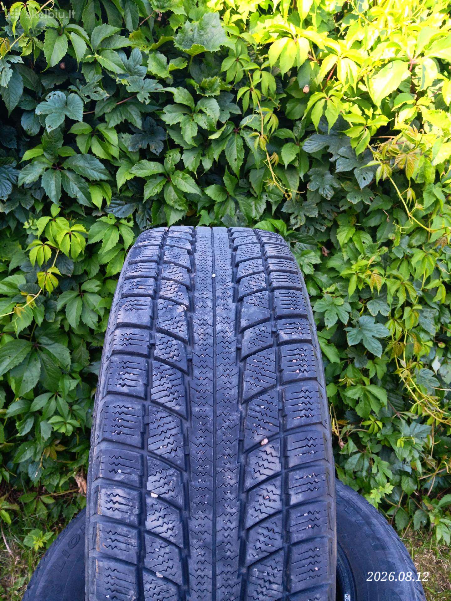 Triangle, žieminės 195/65 R15
