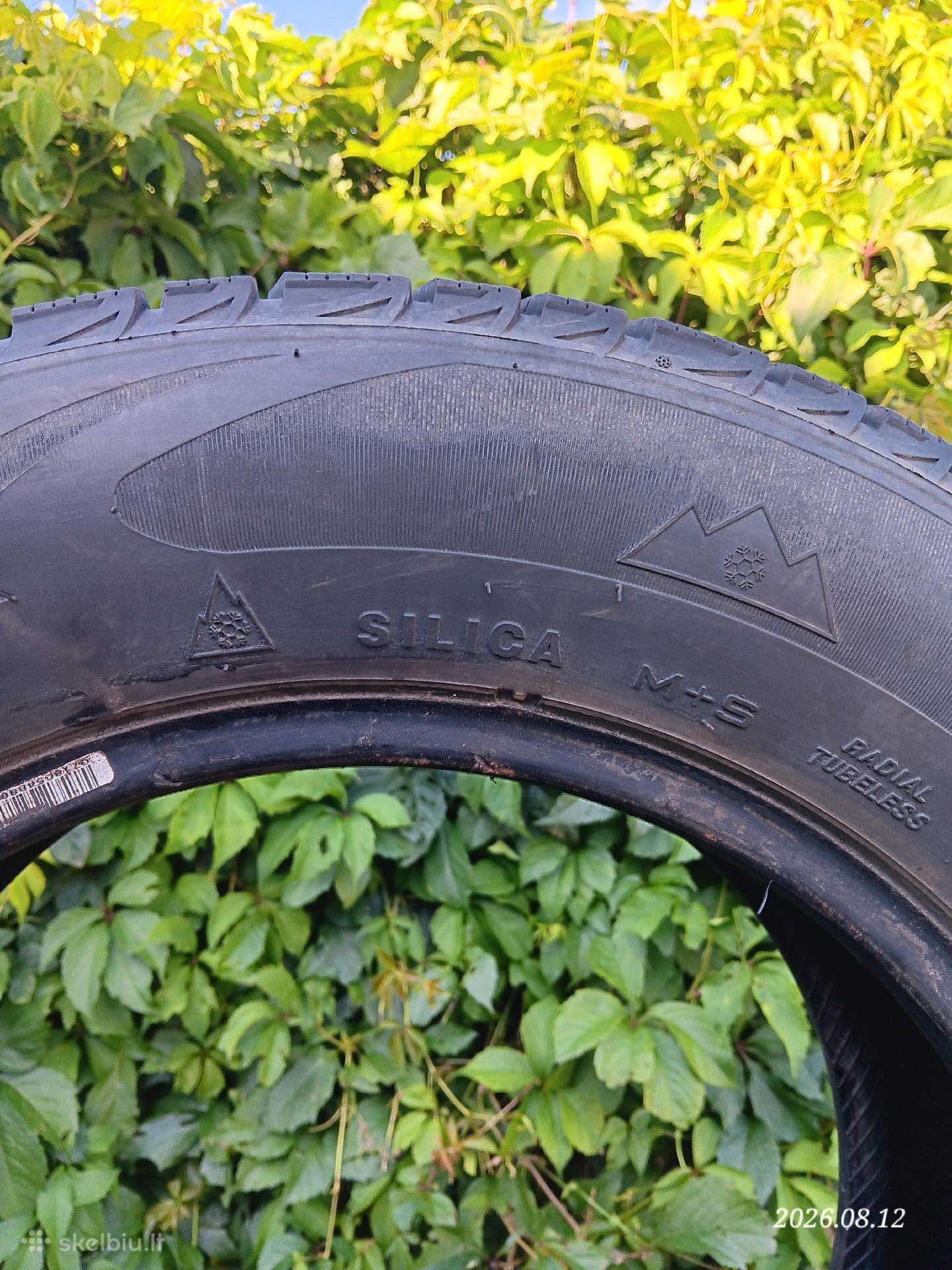 Triangle, žieminės 195/65 R15