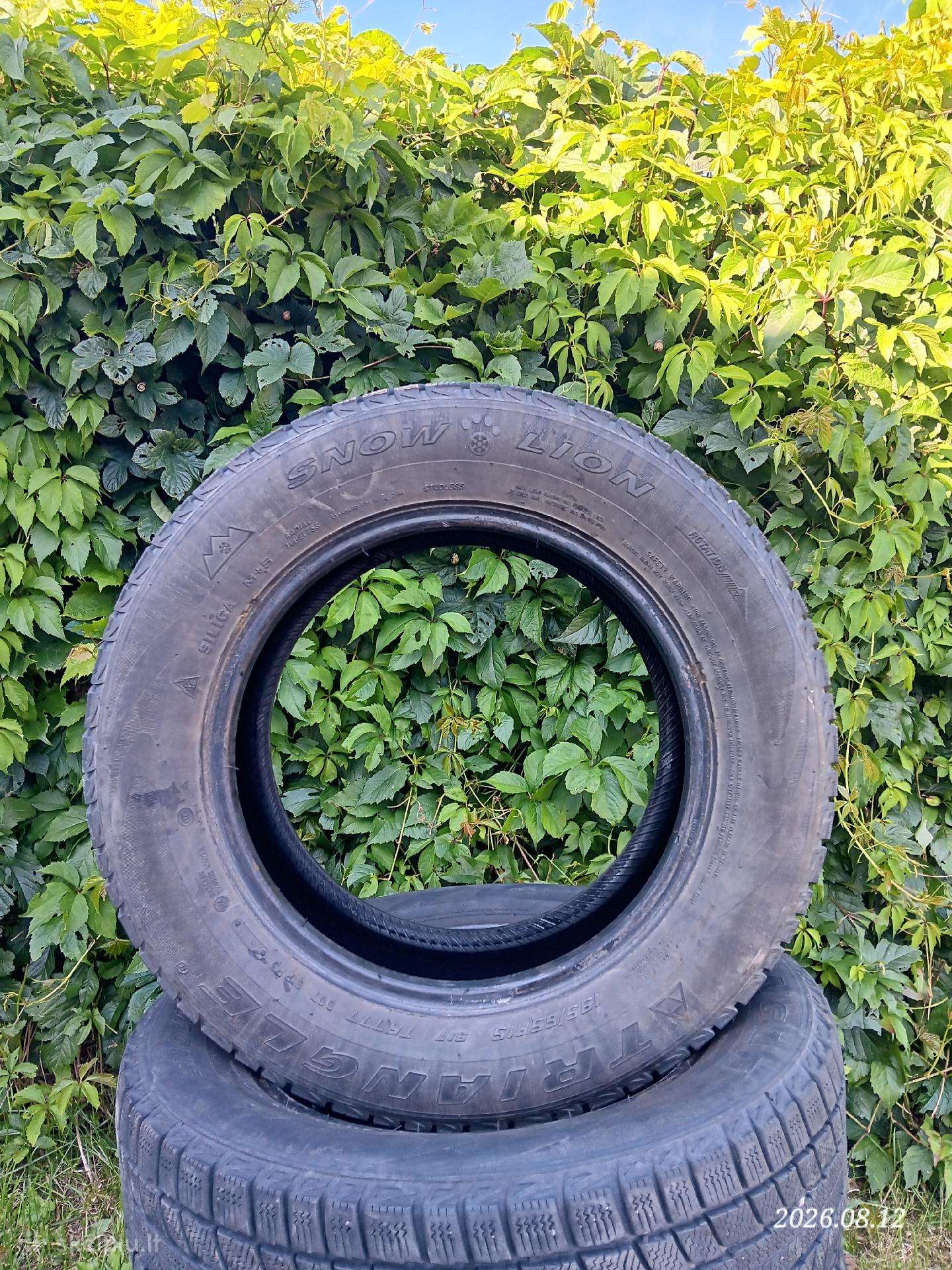 Triangle, žieminės 195/65 R15