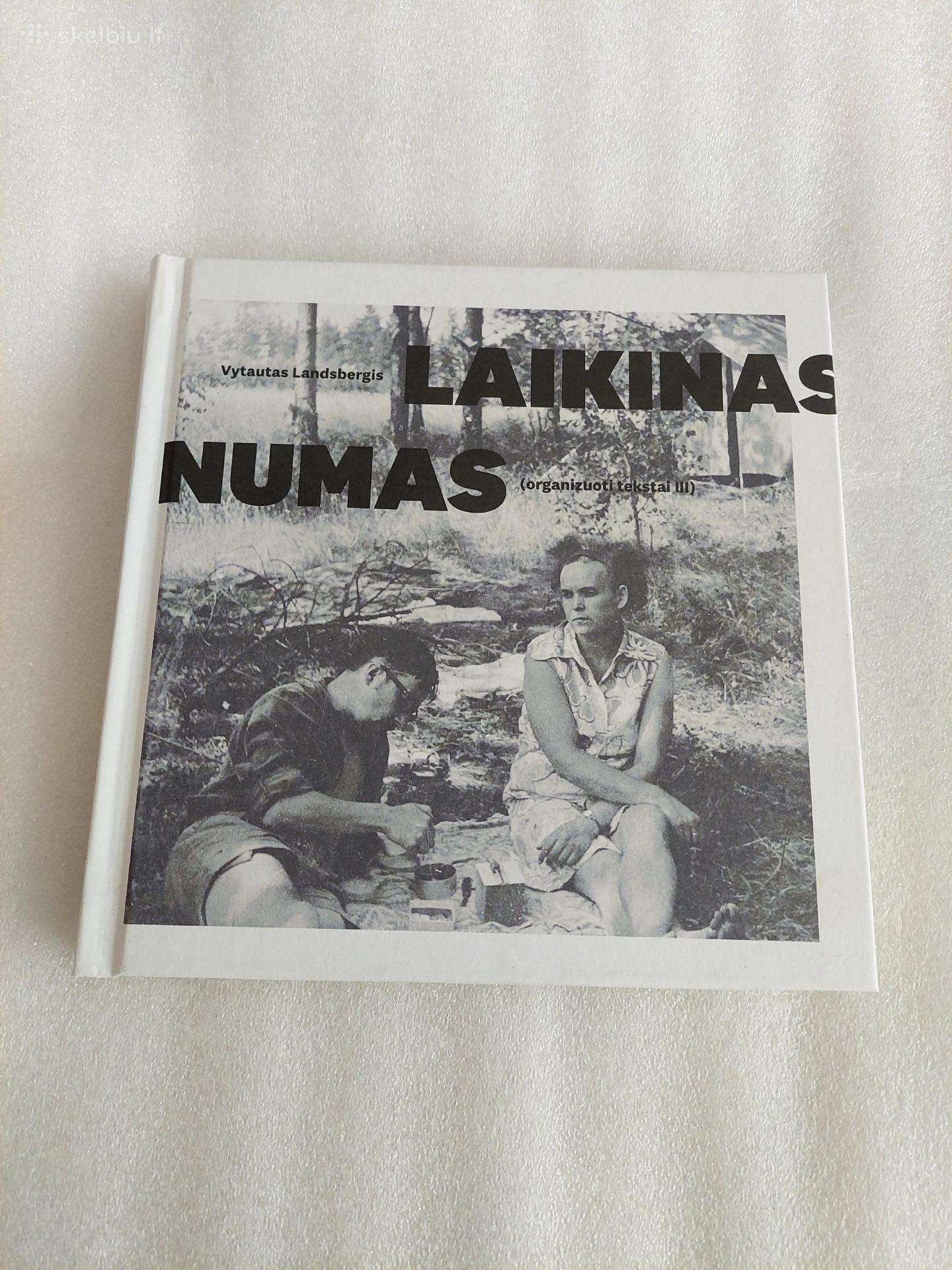 Laikinas numas