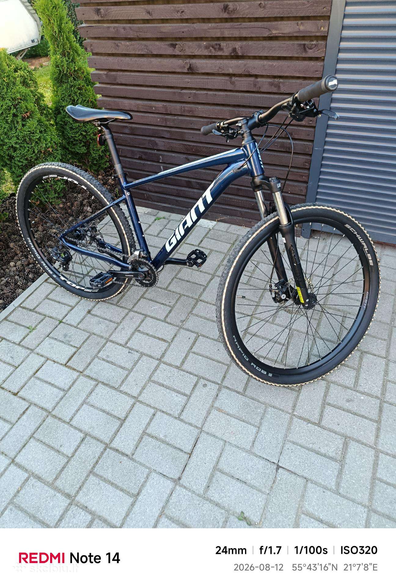 Dviratis giant talon