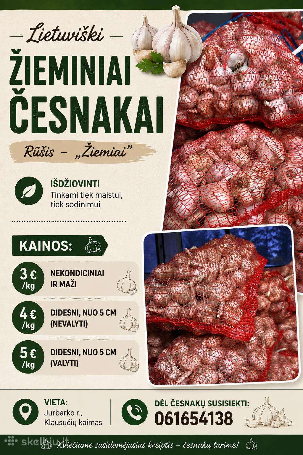 Žieminiai česnakai