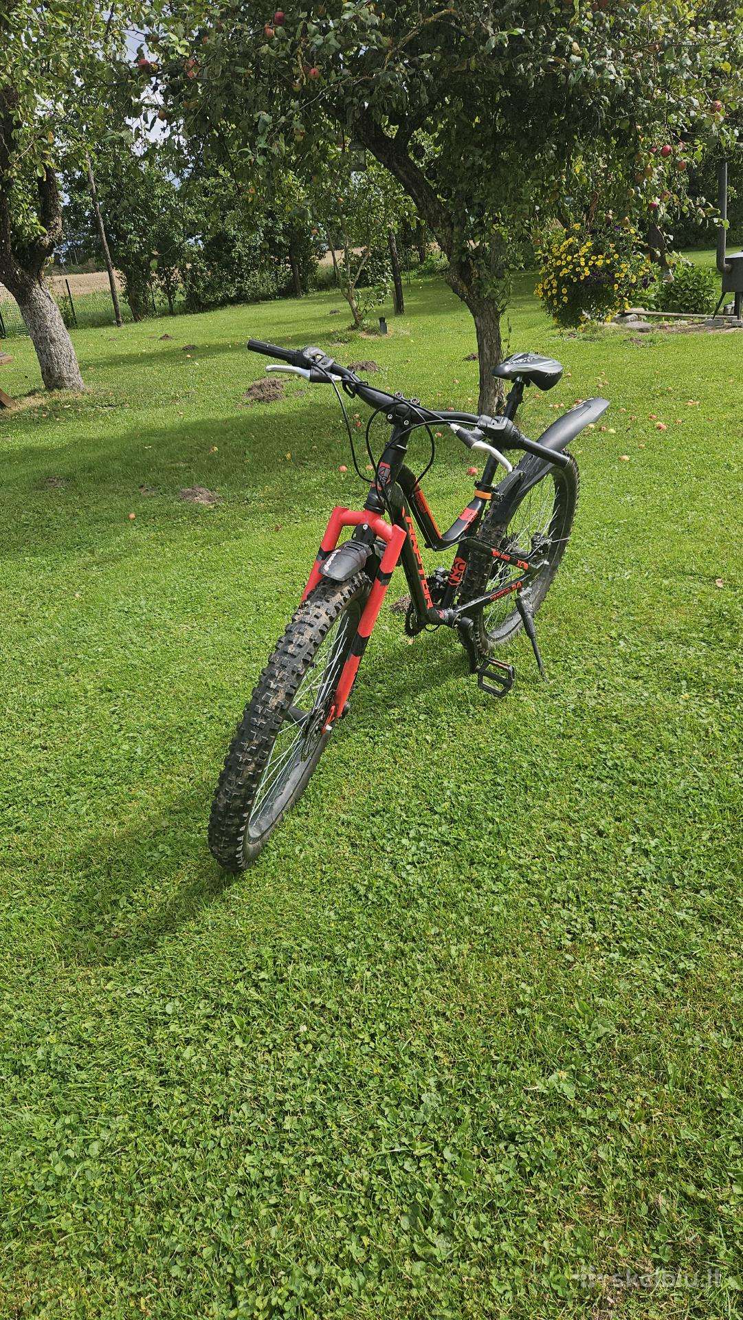 MTB kalnų dviratis Raptor 24