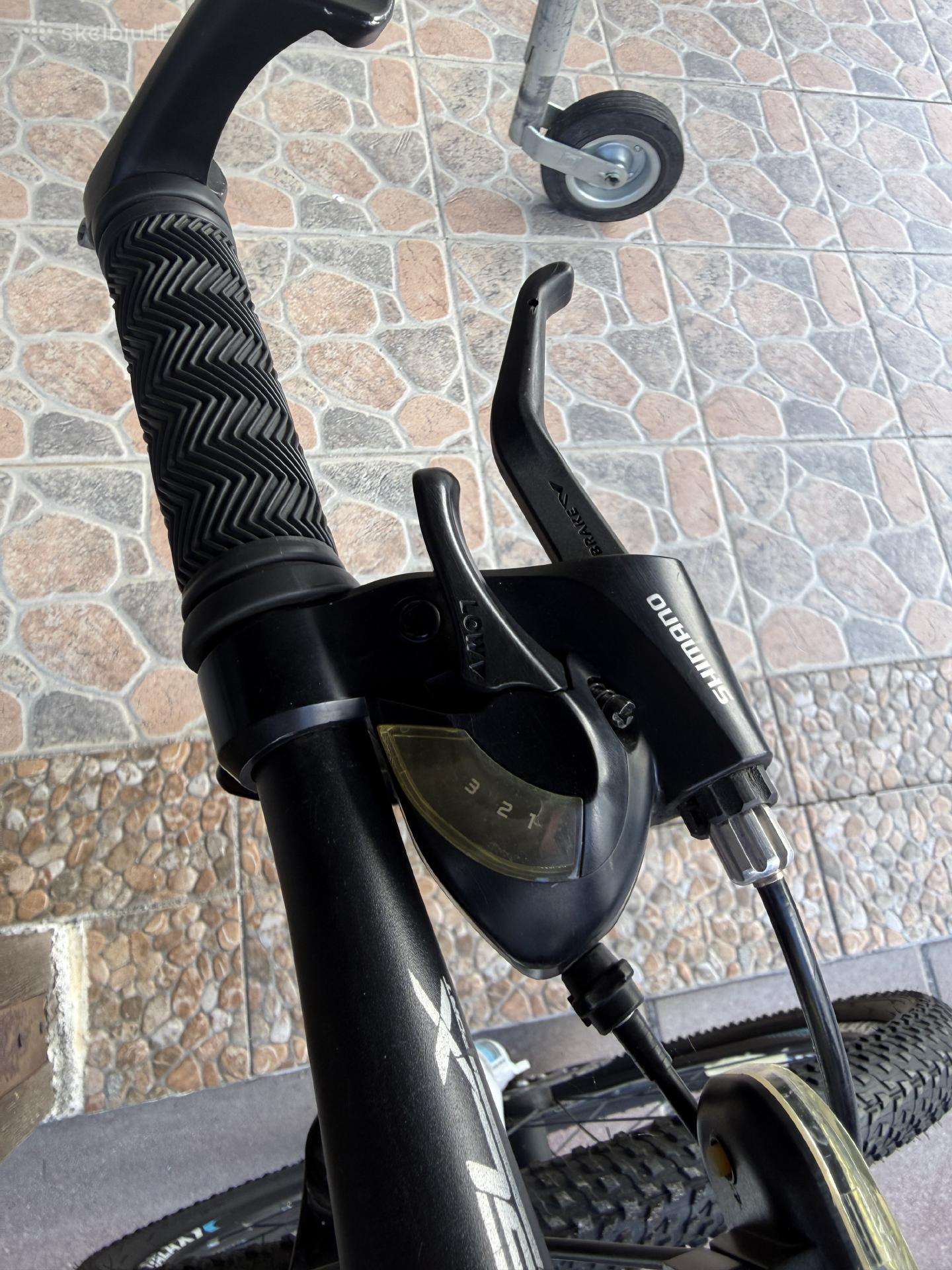 Mountain bike Galaxy 26″