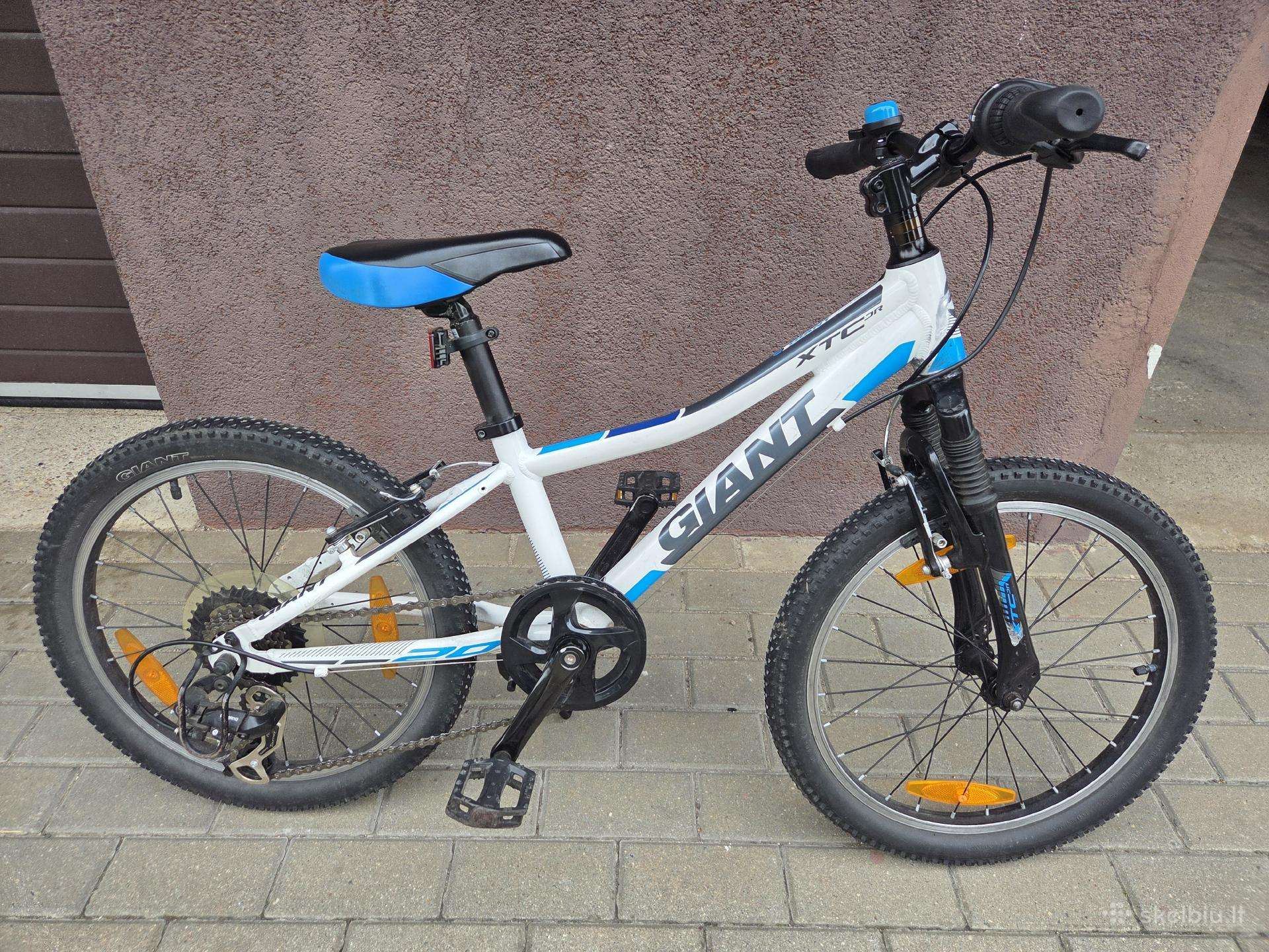 Vaikiškas dviratis Giant Aluxx