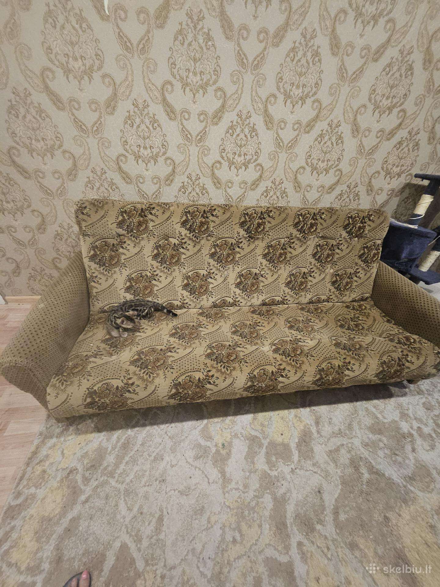 Dovanoju sofa lova+kilimas