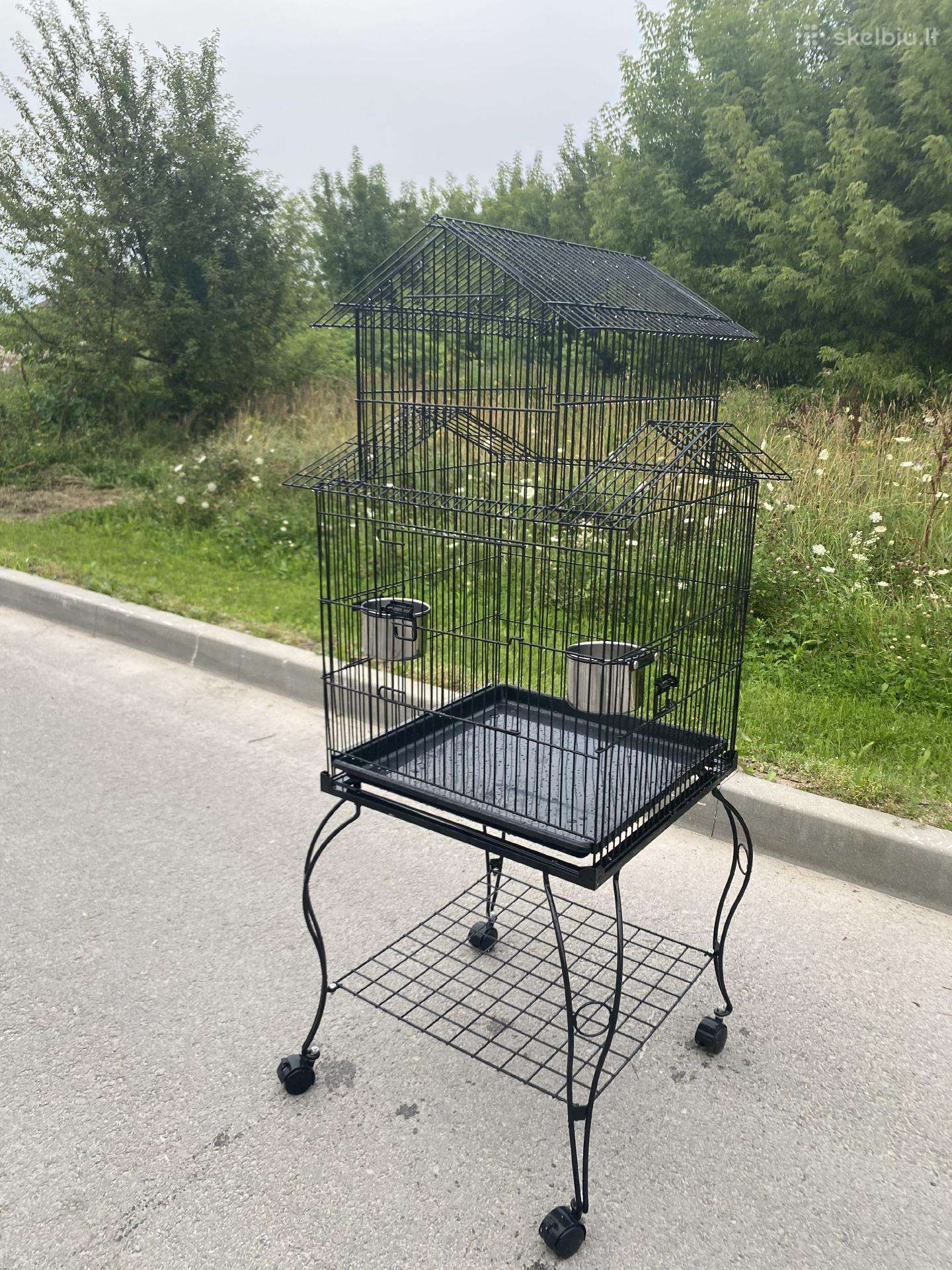 Parduodu papugu narva 50 eur