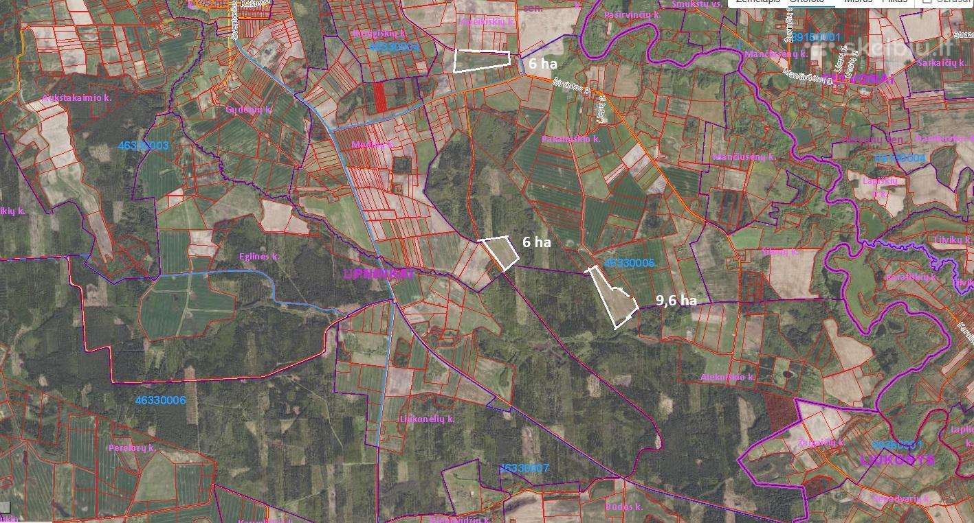 Nuomojami 3 skl. 21,6 ha Pakalniškių k. Jonavos r.