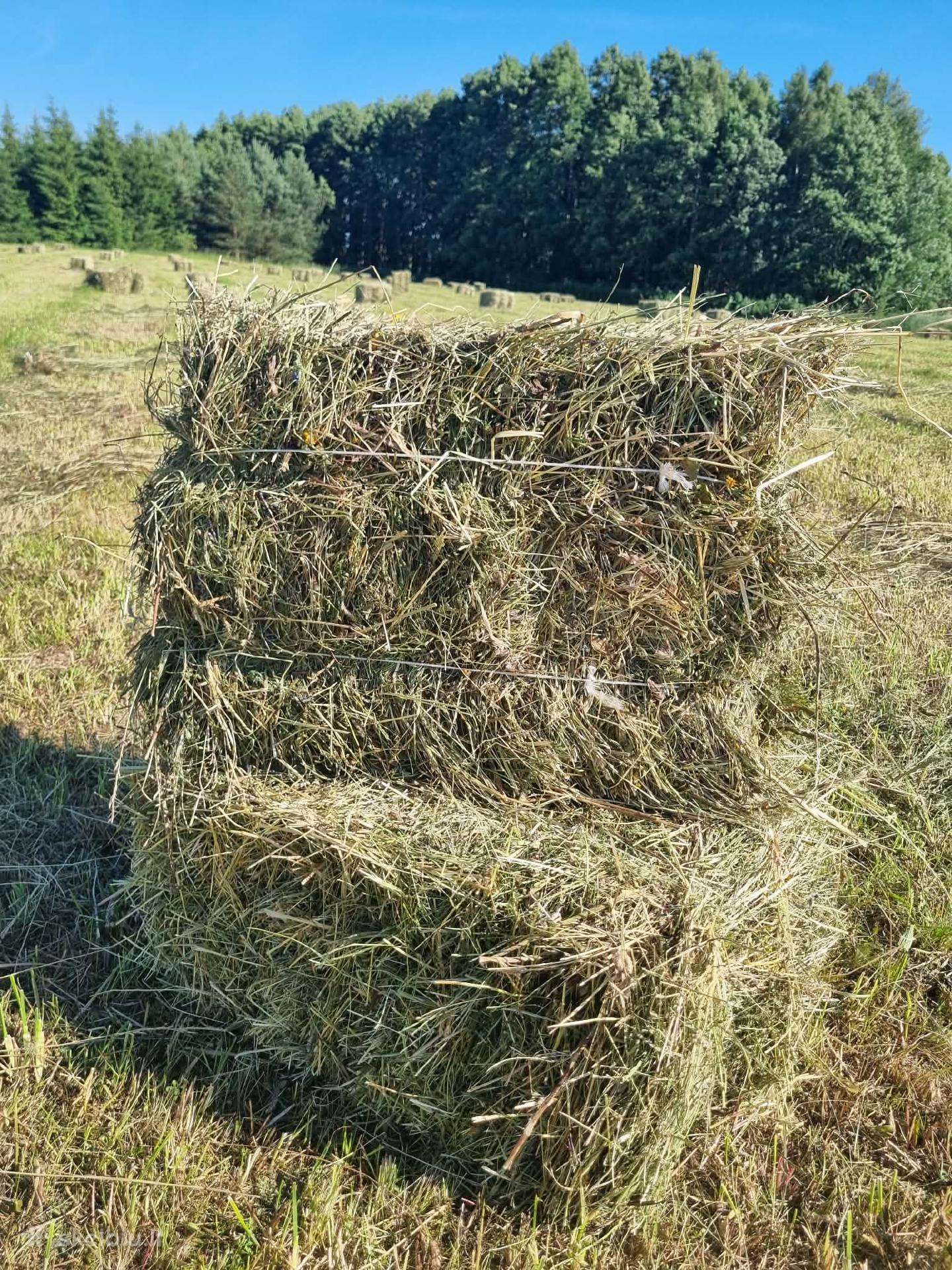 Šienas kytkomis