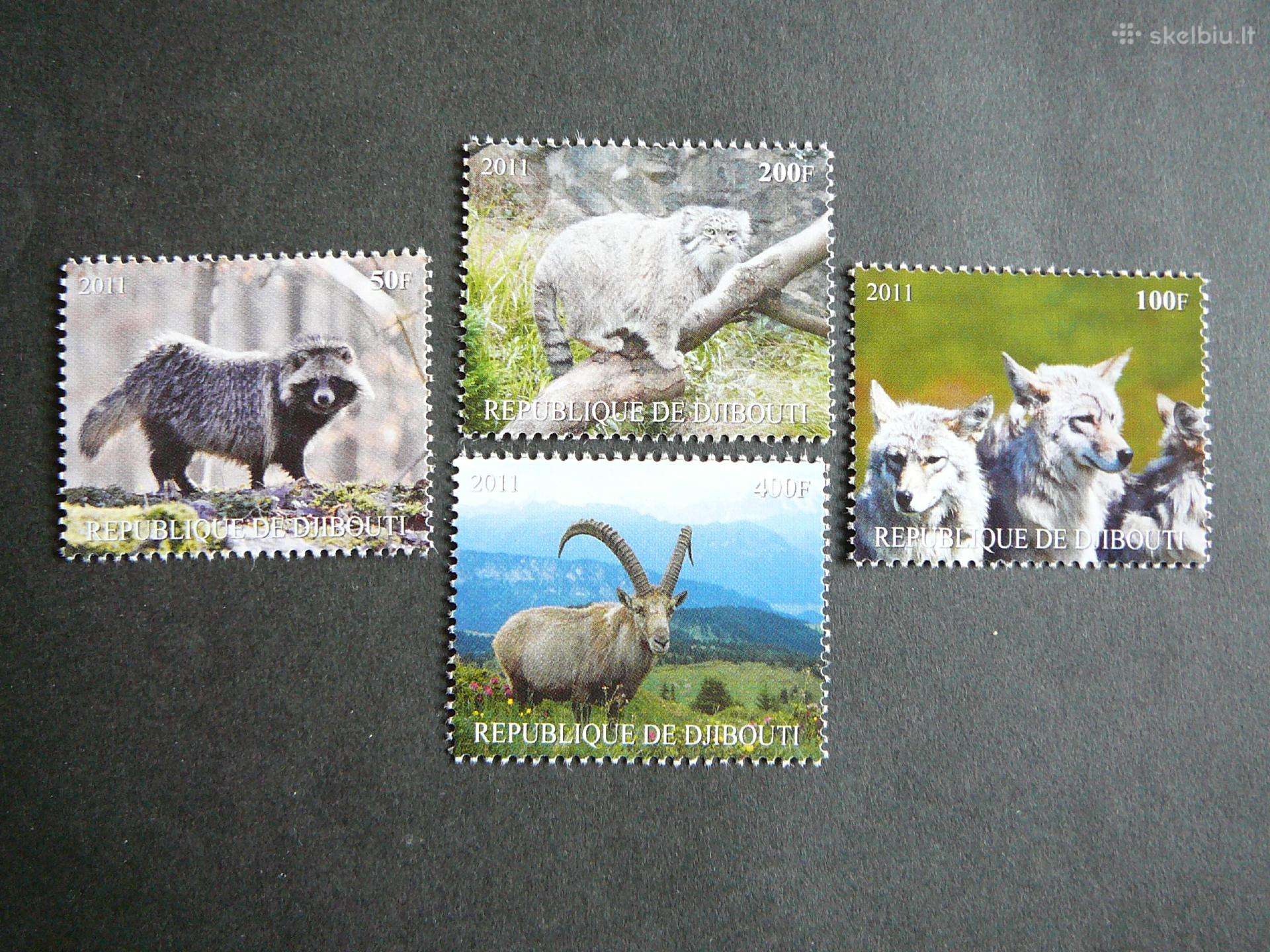 Vilkai Lusis Ozys Dzibutis 2011 svarus d225