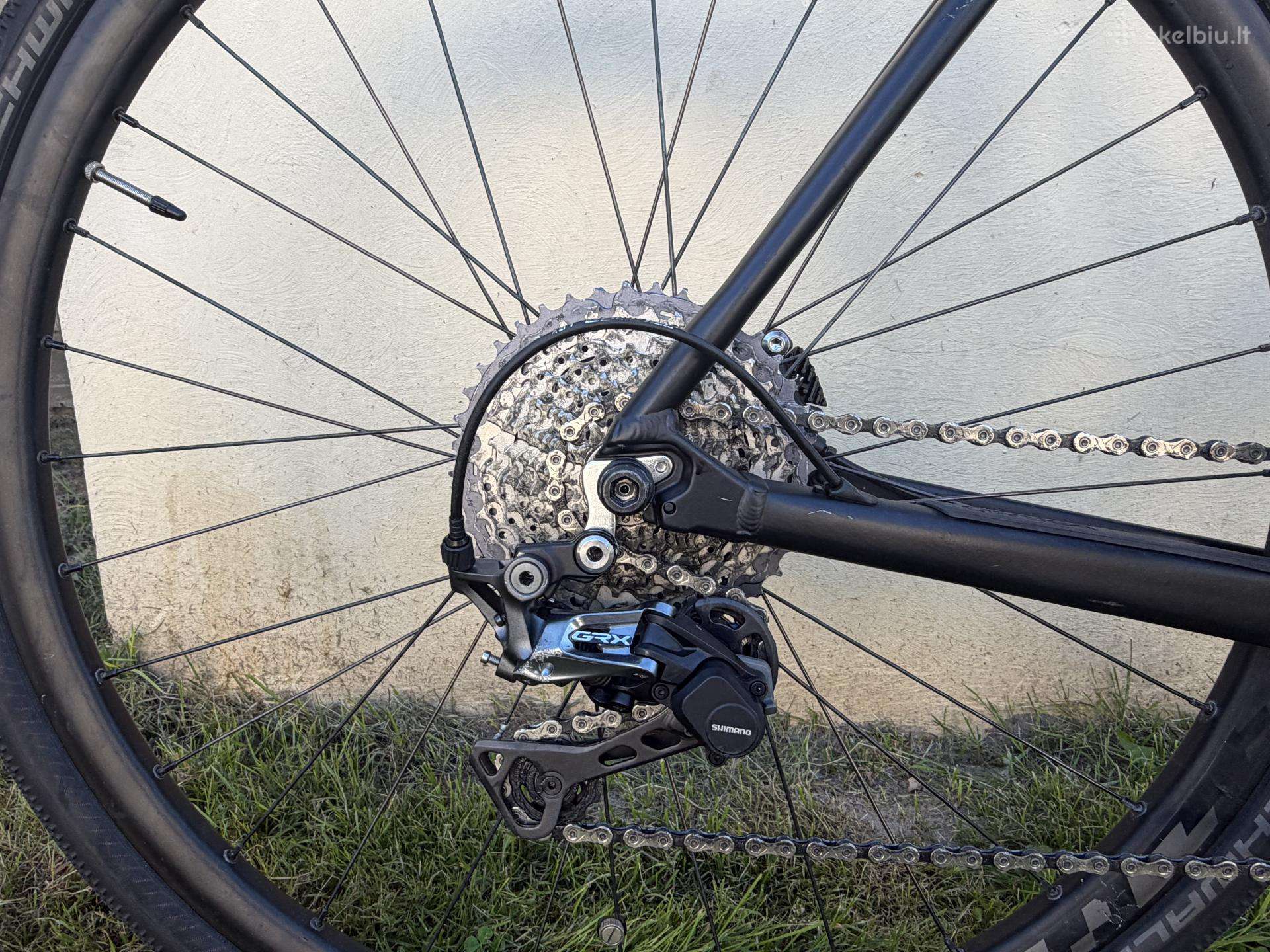Other bike Orbea 28″