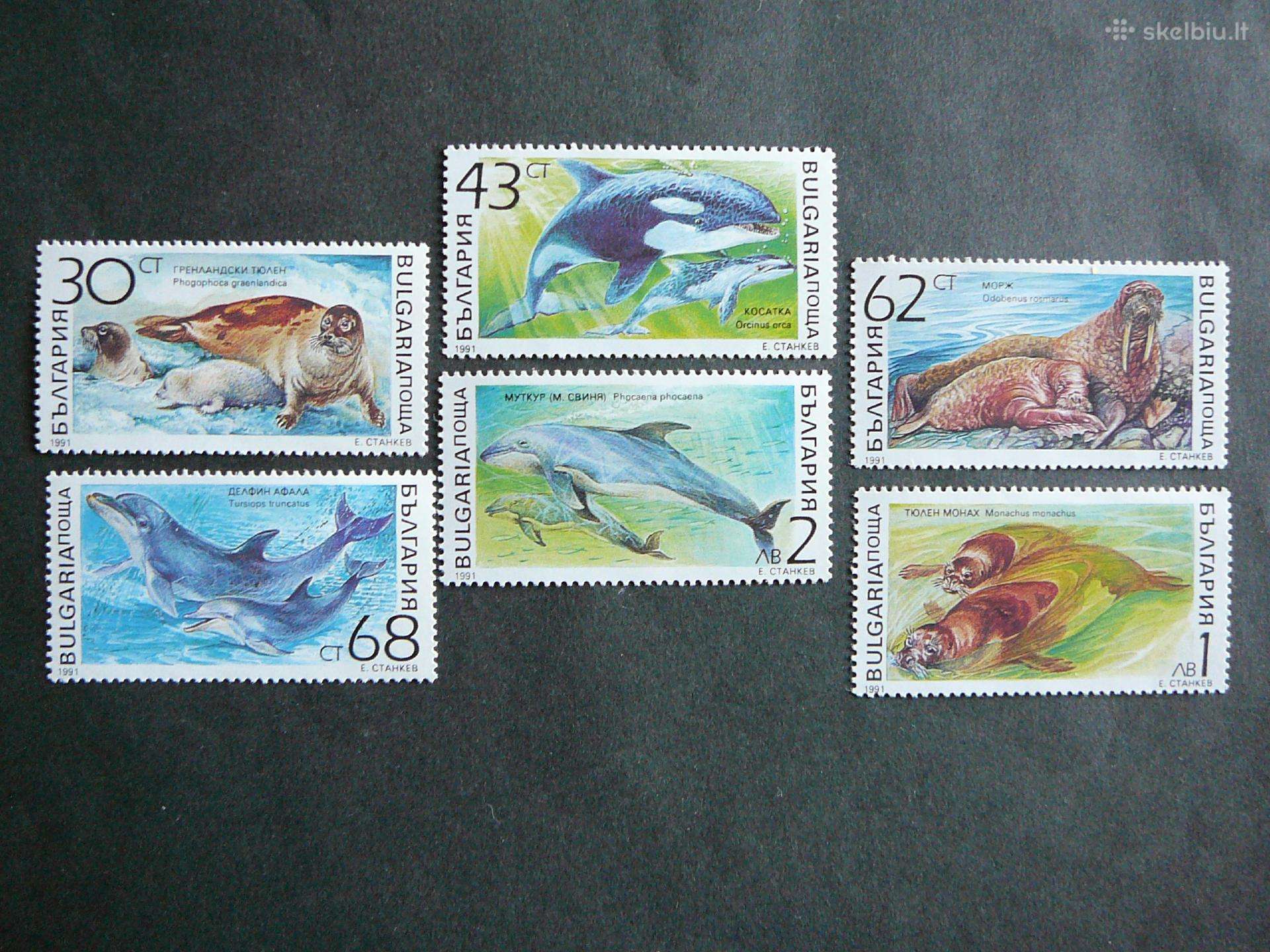 Delfinai Ruoniai Bulgarija 1991 Mnh blg093