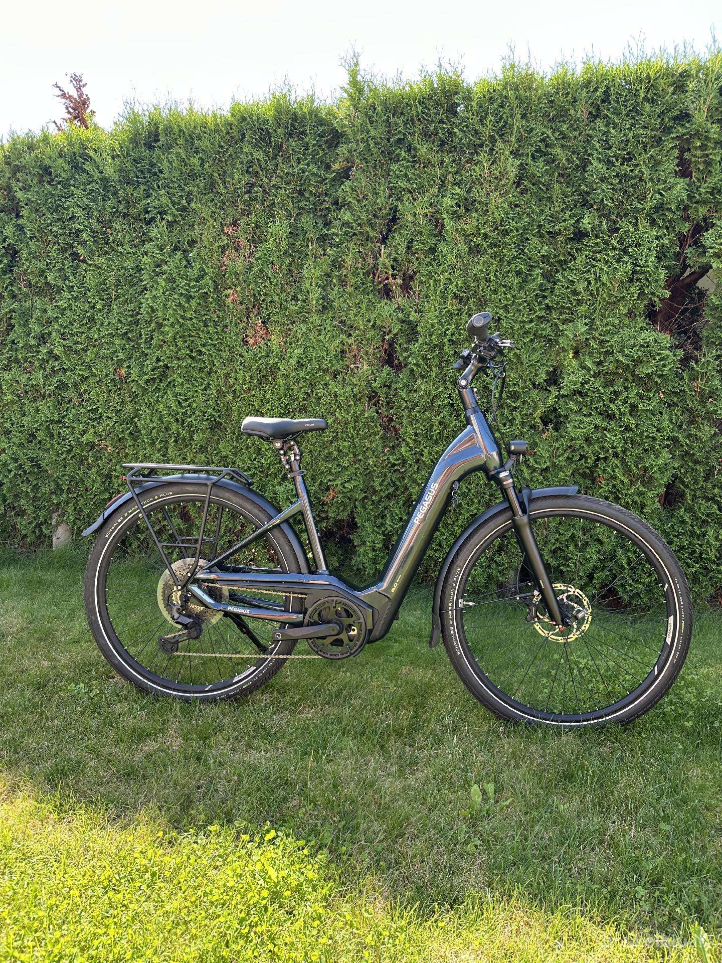 Pegasus elektrinis, bosch CX smart 750, M dydis