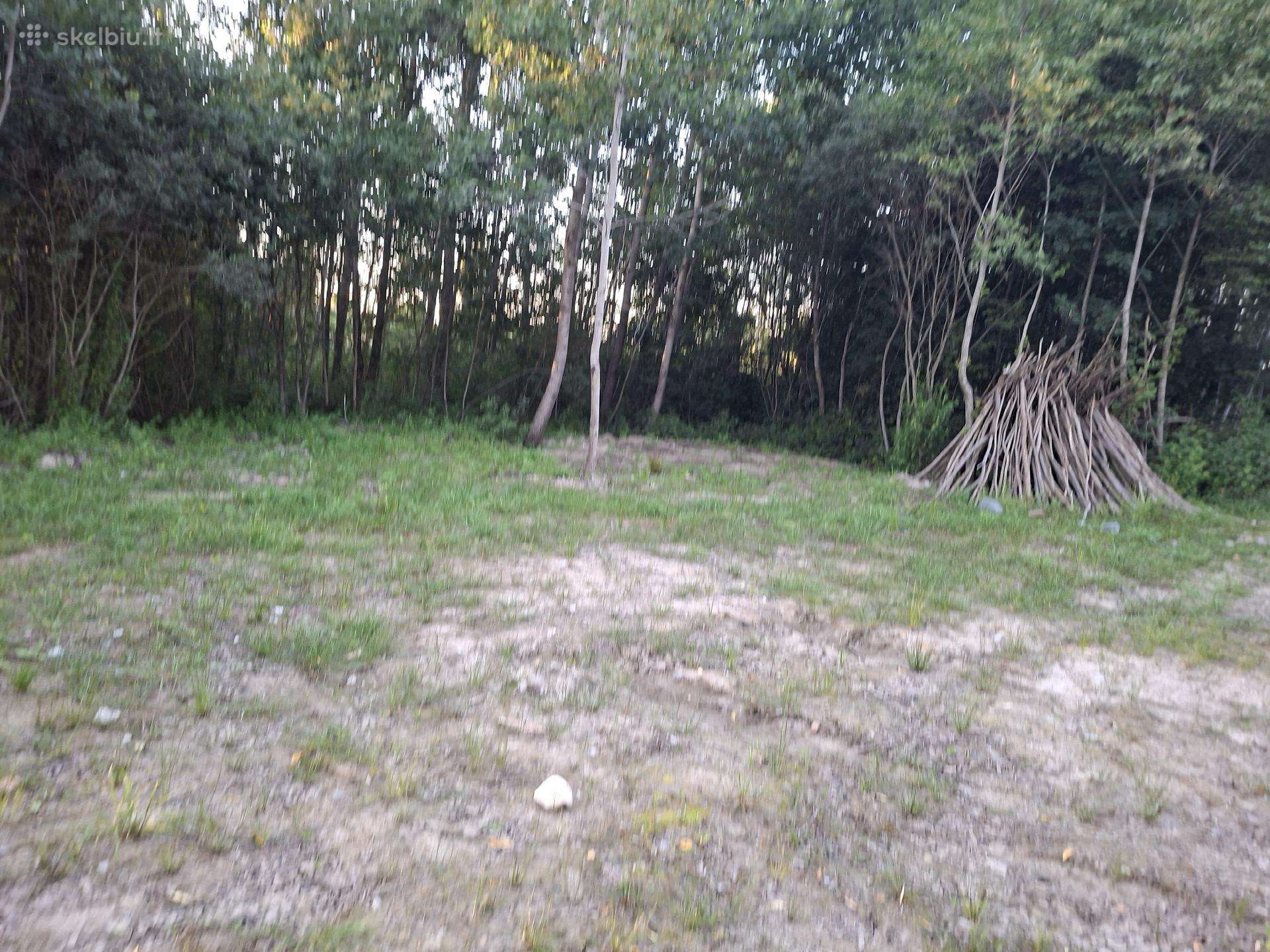 Miškelis poilsiui.