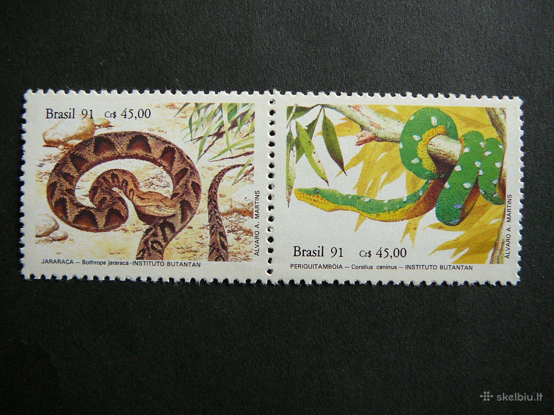 Gyvates Brazilija 1991 svarus br253