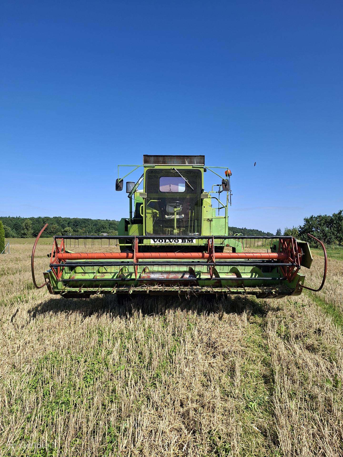Class dominator 80