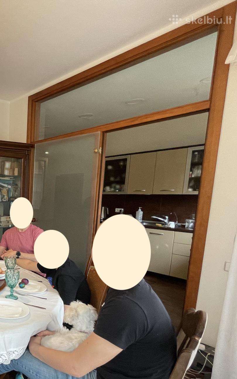 Vidaus nišinės stiklinės durys