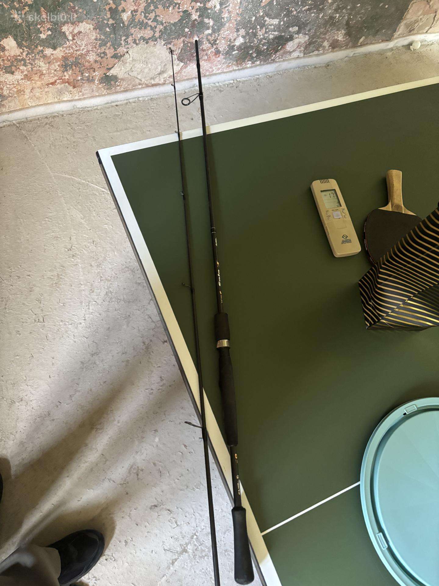 Salmo spiningas