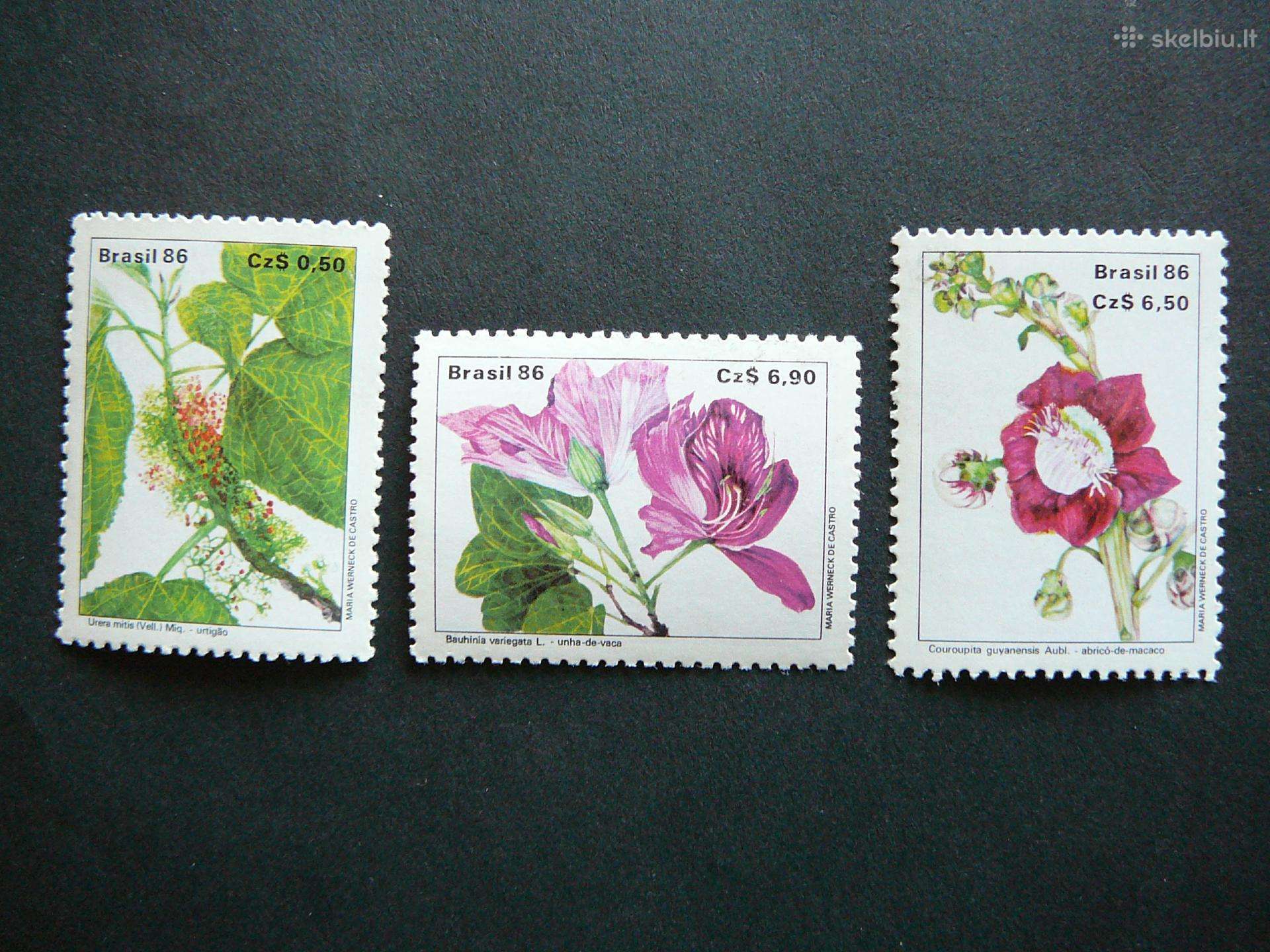 Geles Flora Brazilija 1986 svarus br258