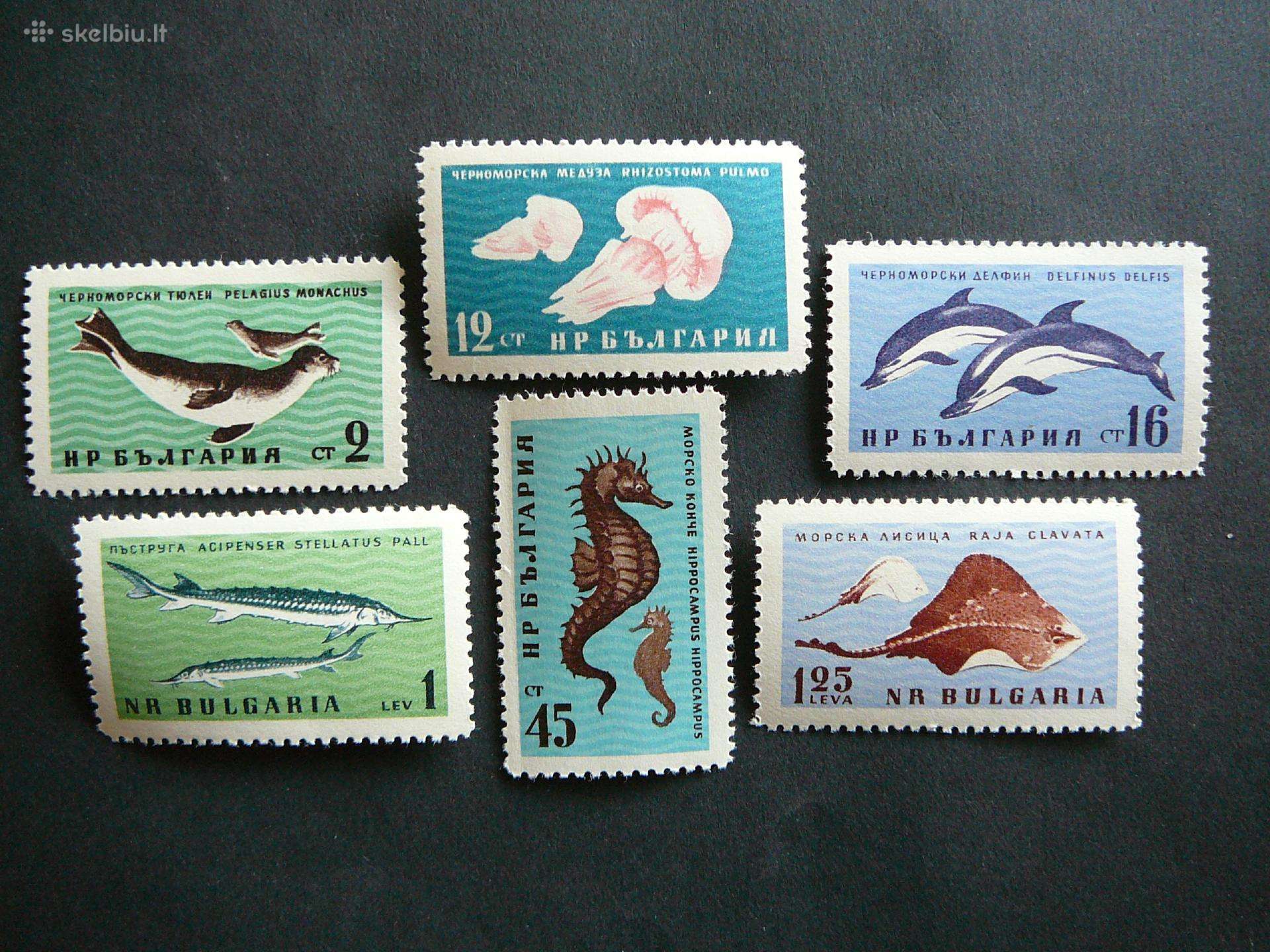 Zuvys Ruoniai Delfinai Bulgarija 1961 Mnh blg339