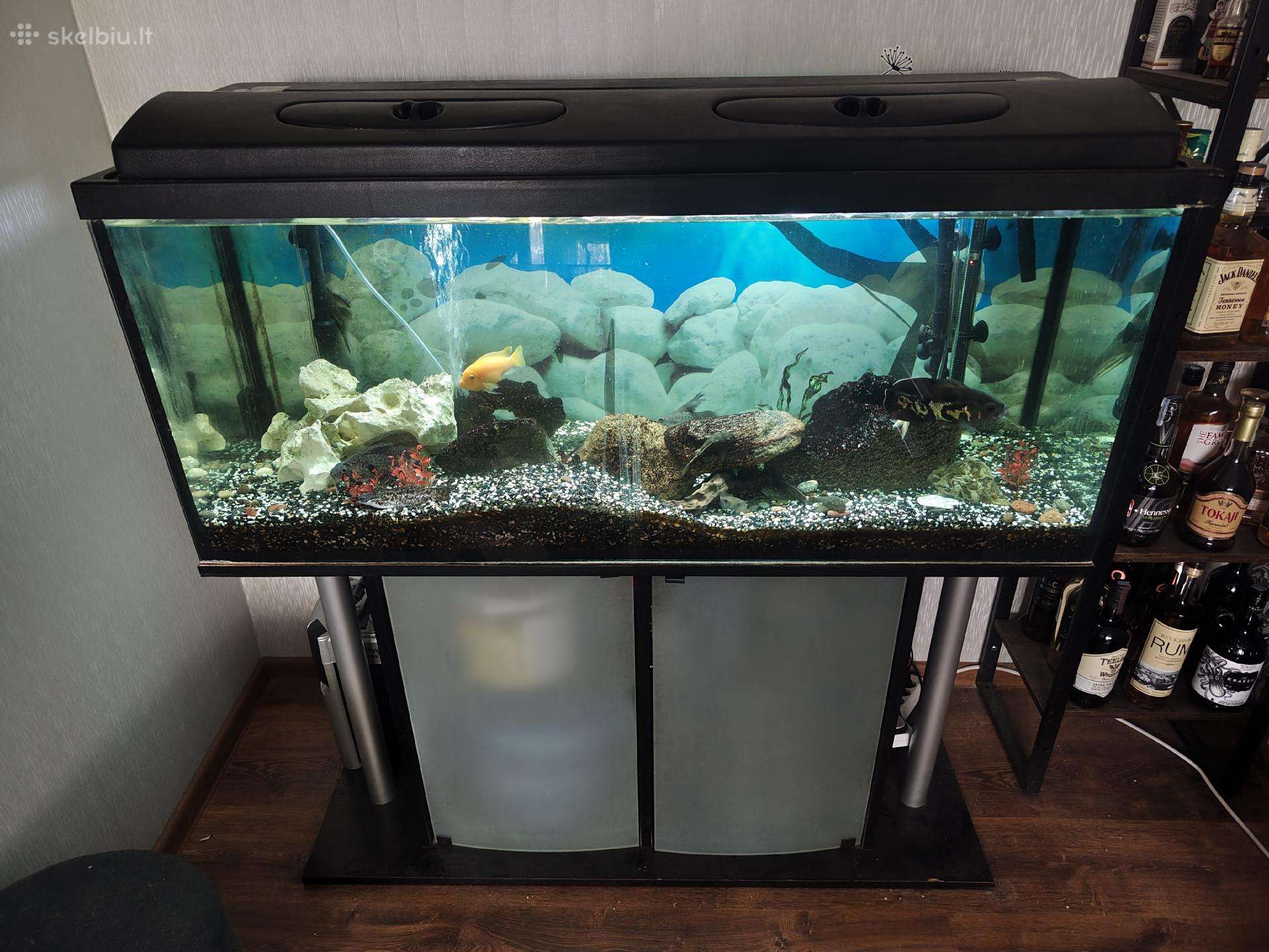 Akvariumas 240l